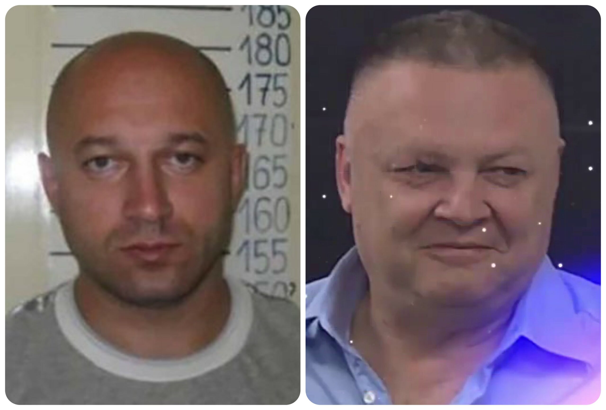 Zvonko i Zelja