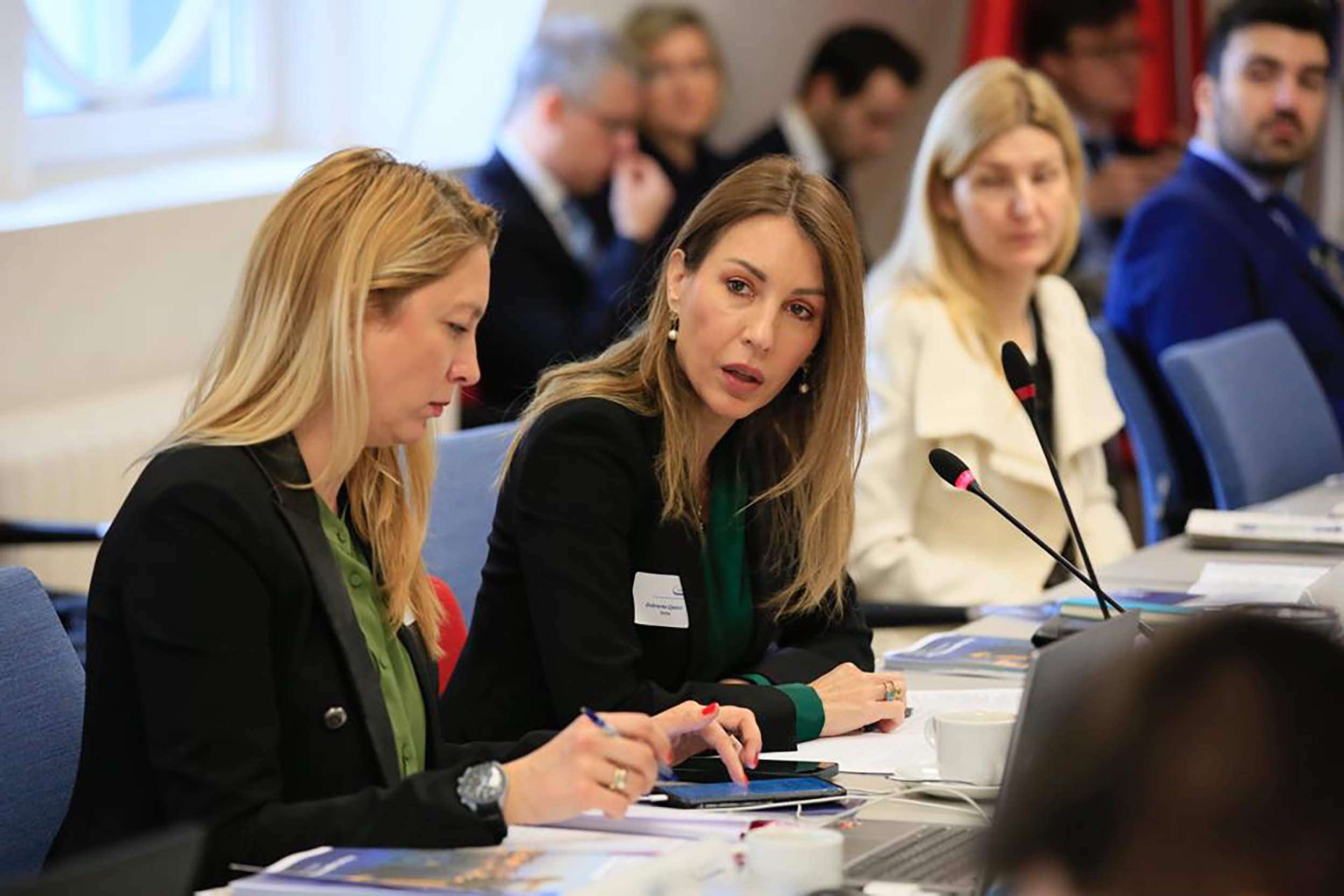 Dubravka Đedović ucestvovala na sastanku Ministarskog saveta energetske zajednice u Beču