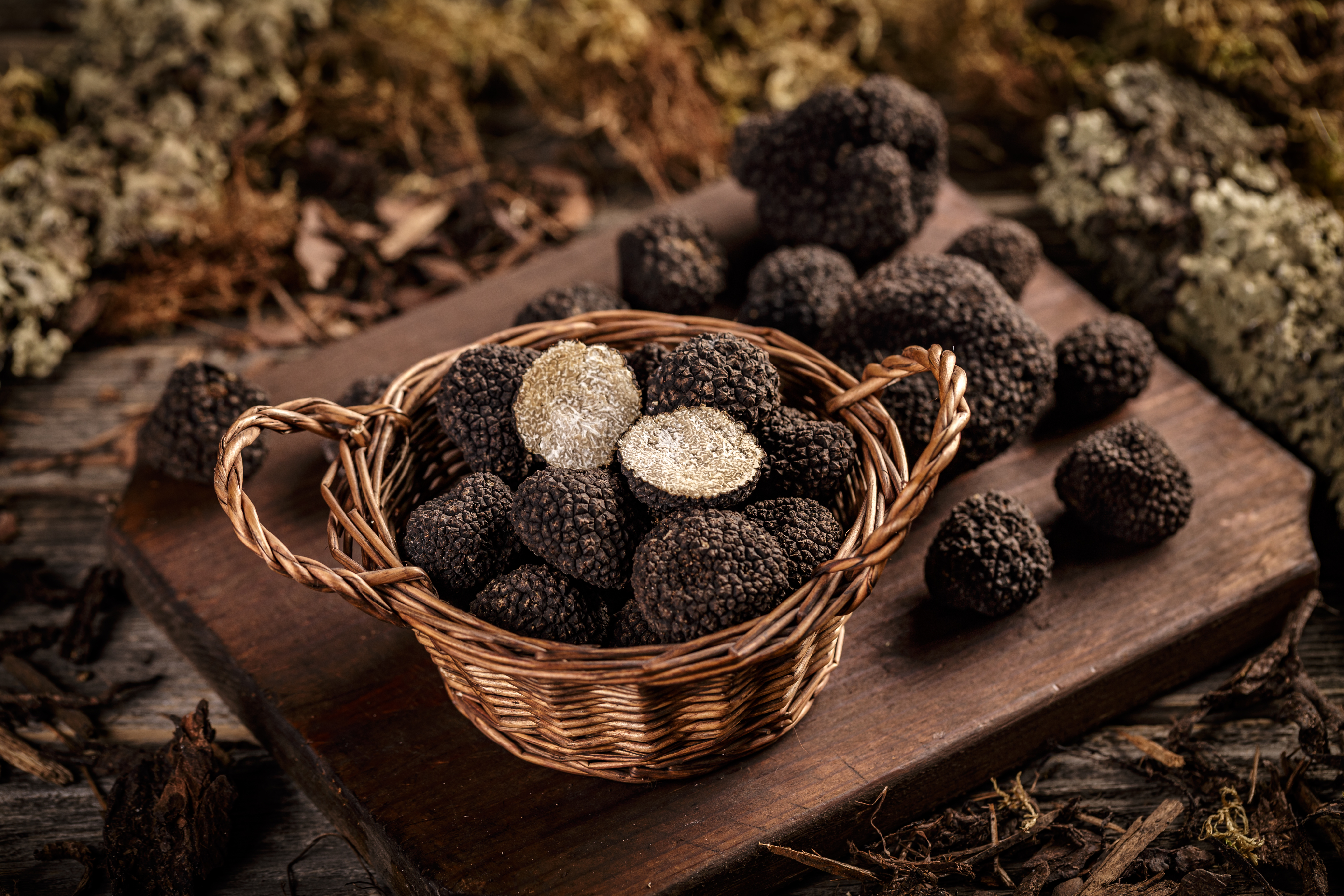 Expensive,Black,Truffles,Gourmet,Mushrooms,In,Wicker,Basket