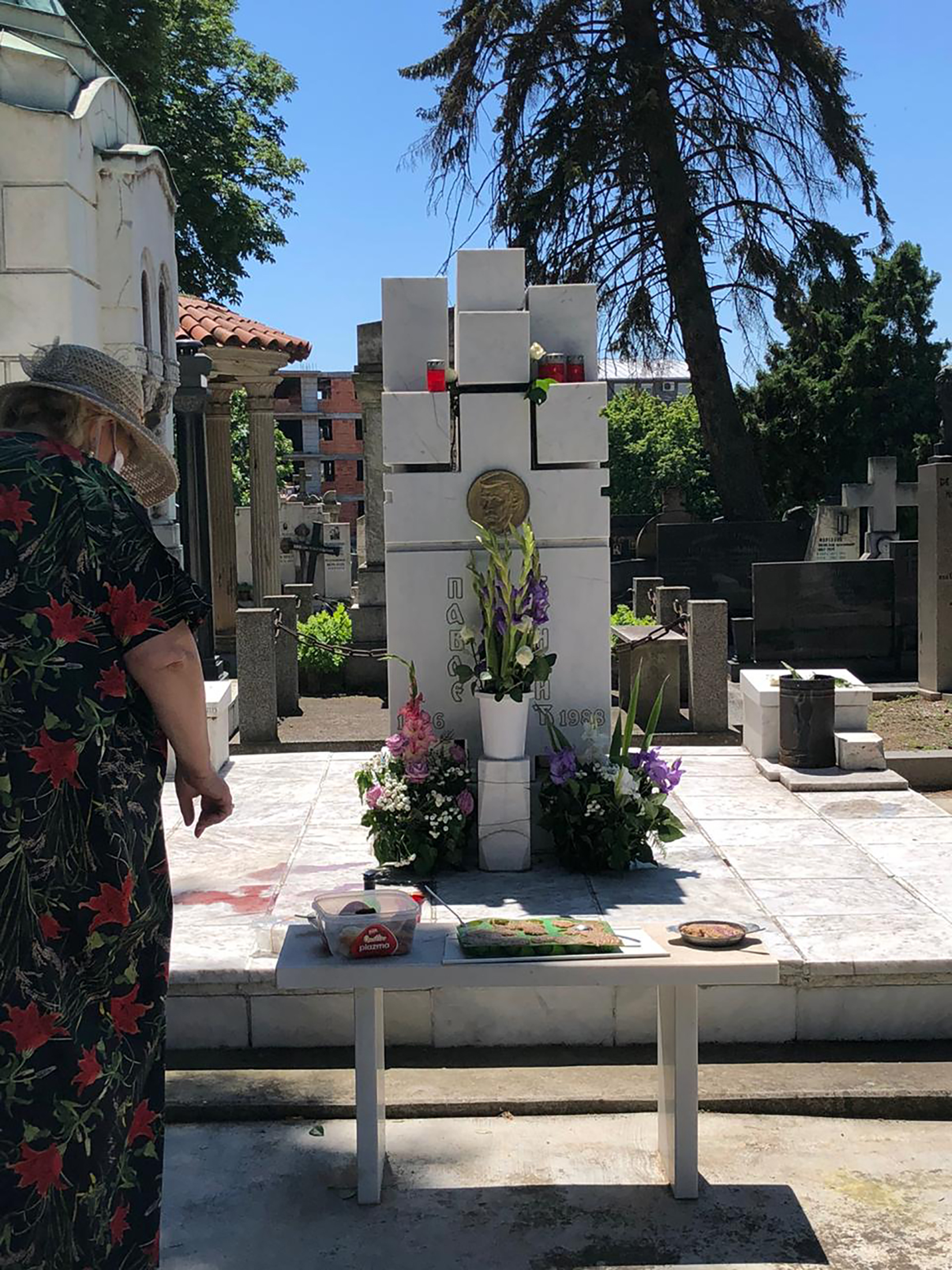 Godisnjica rodjenja Pavle Vujisić