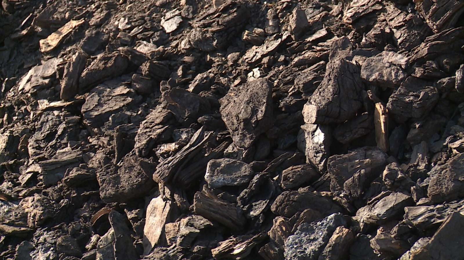 Kragujevac, cene, ogrev. ugalj, poskupljenje, poslala Aleksandra Petrović