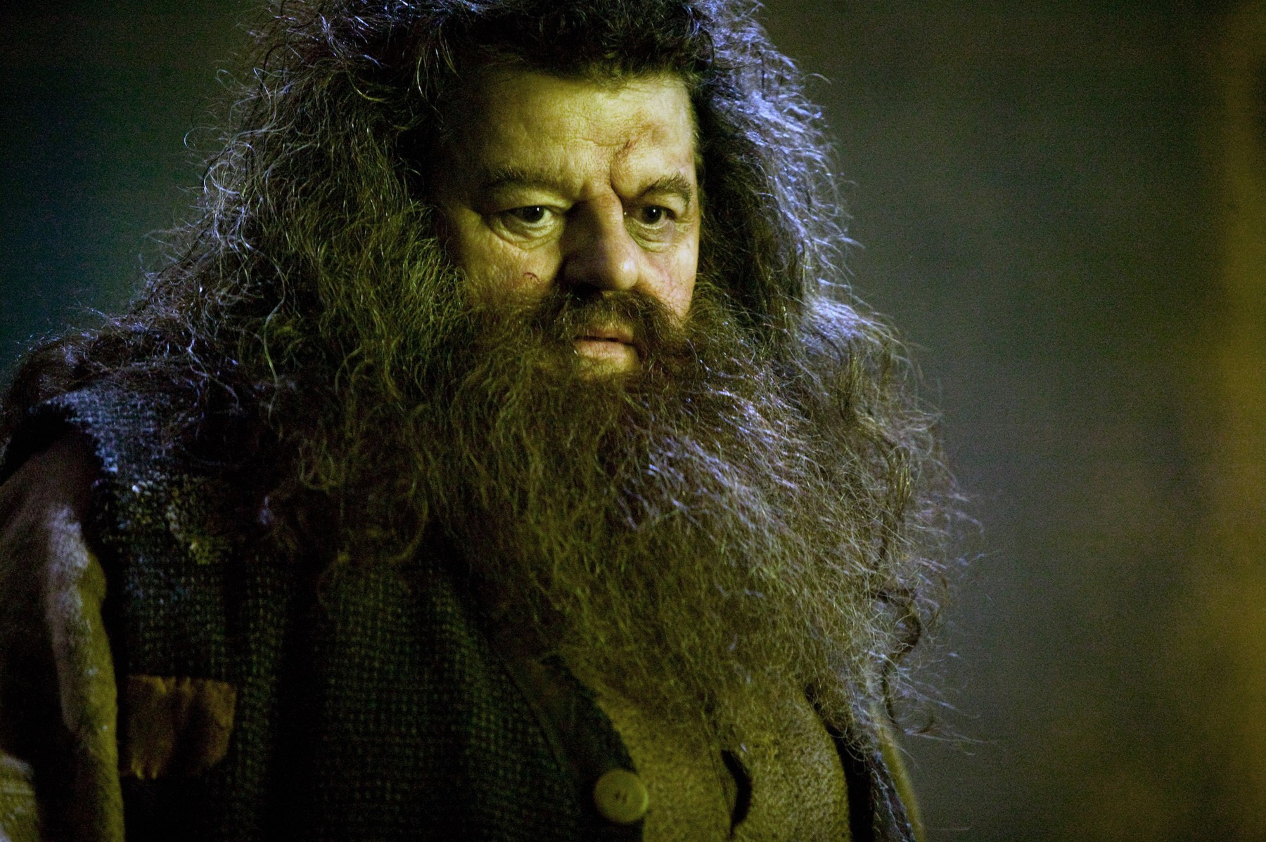 HARRY POTTER AND THE ORDER OF THE PHOENIX, Robbie Coltrane, 2007.,Image: 97145716, License: Rights-managed, Restrictions: , Model Release: no, Credit line: Murray Close / Everett / Profimedia