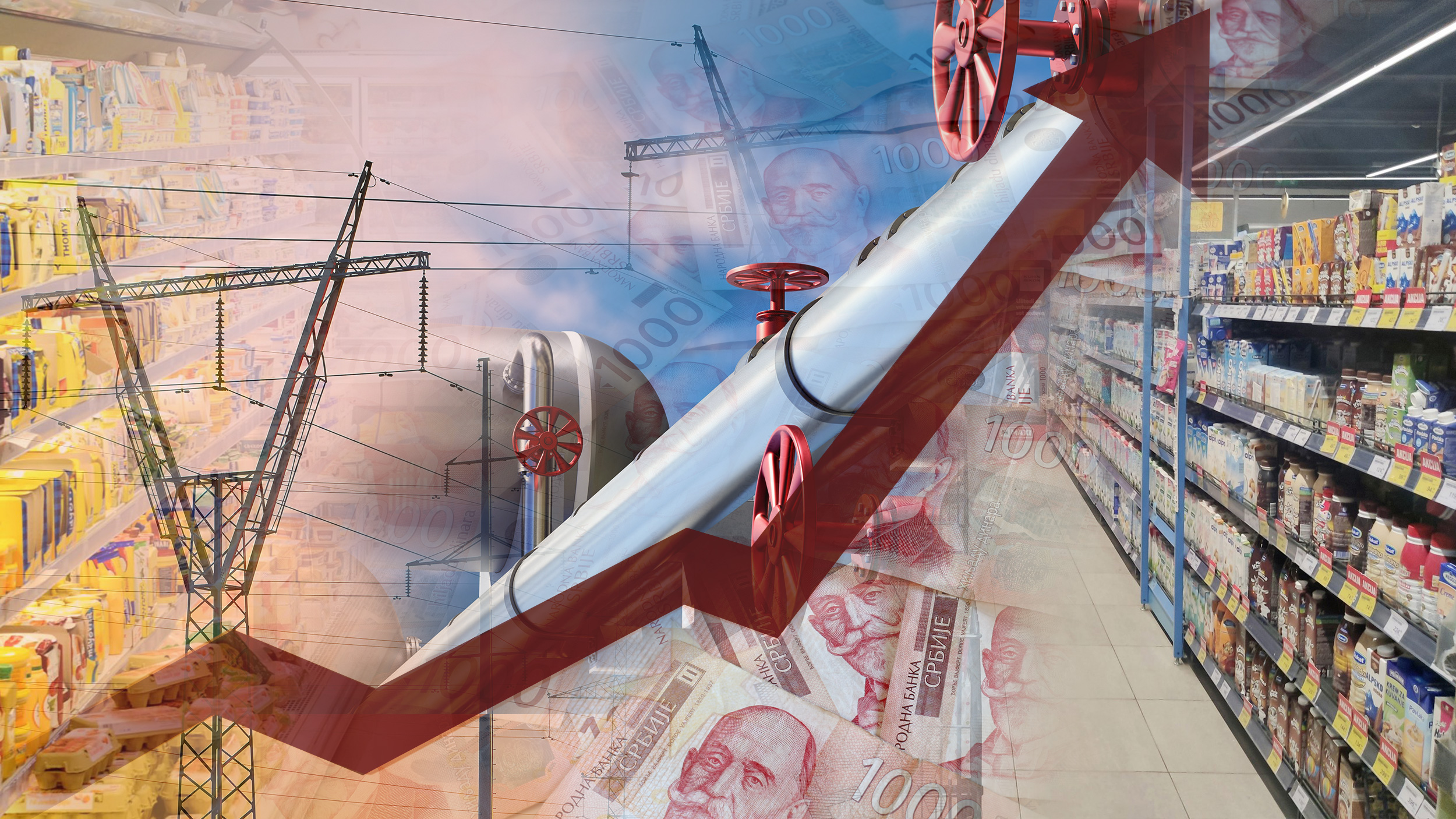 Poskupljenje, Struja, Gas, Hrana