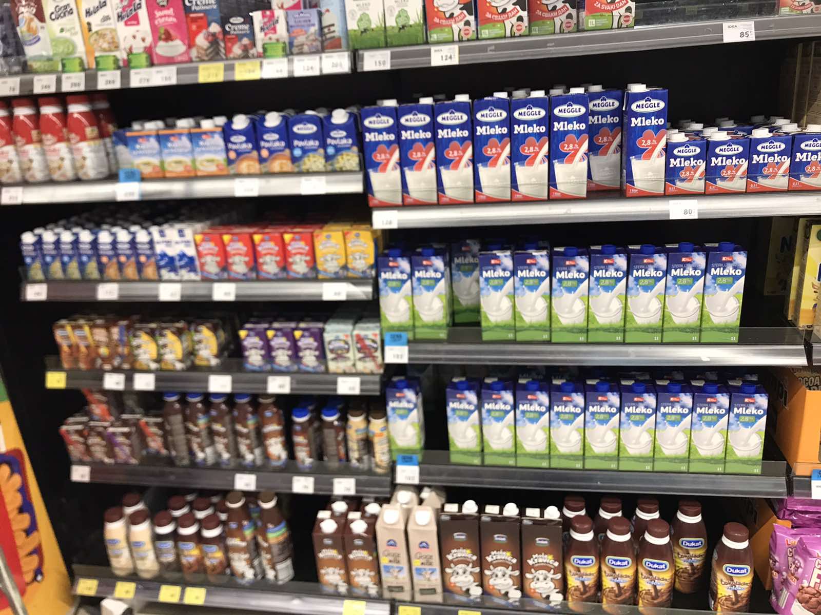 foto ljubica sokic (1)