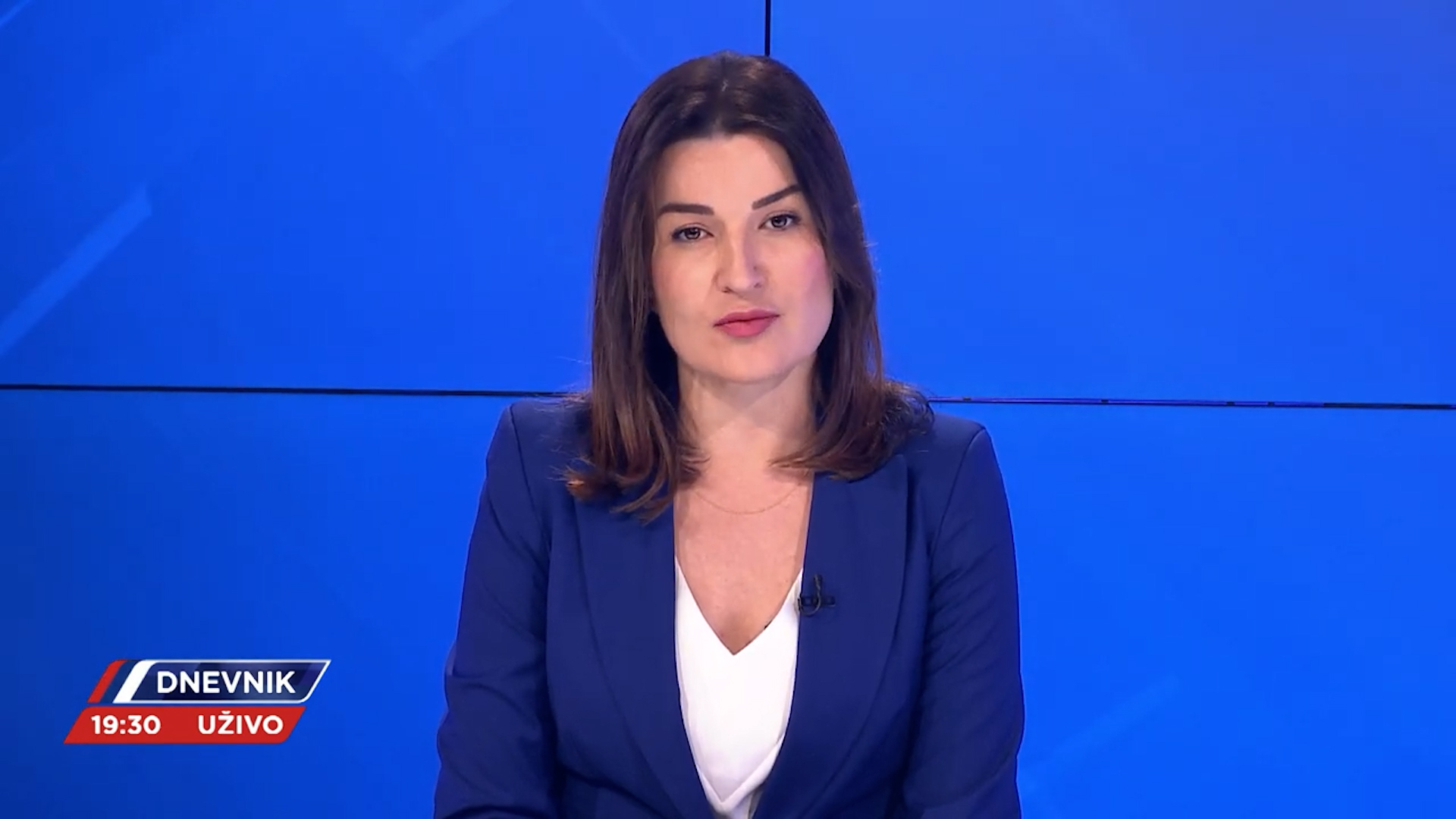 DNEVNIK - UVOD - 29.11.2022.
