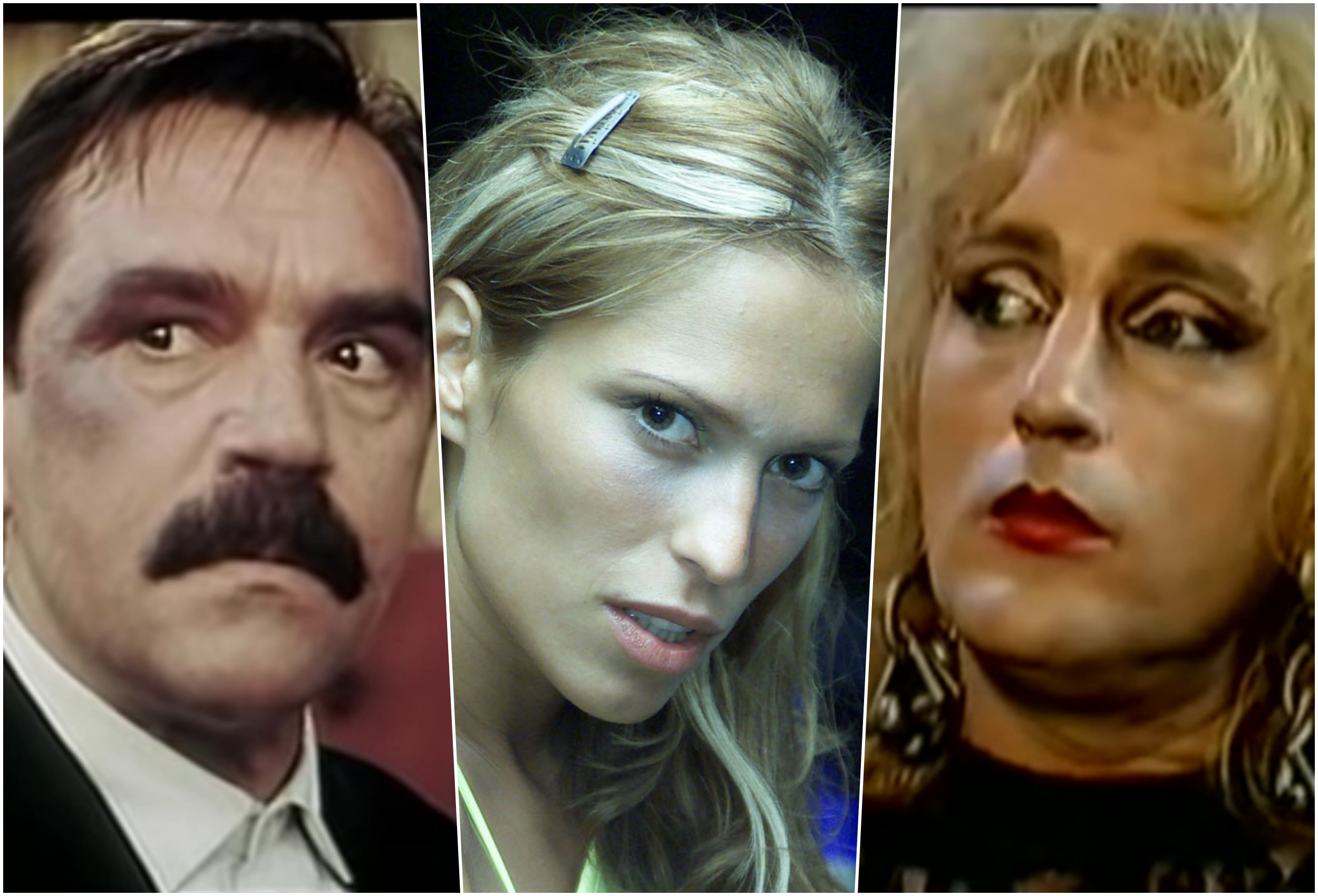 maksimovic pajcin merlinka