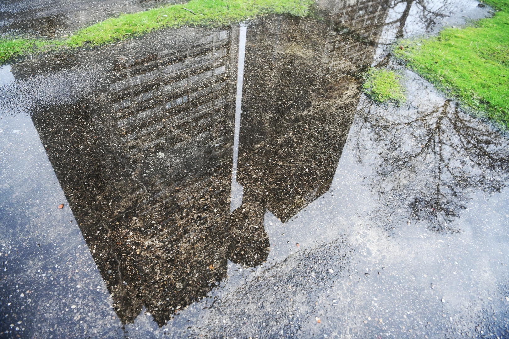 BEOGRAD 01. februar 2021. Geneks, ulaz 41B, problemi stanara sa predsednikom kućnog saveta foto:Vesna Lalic/Nova.rs