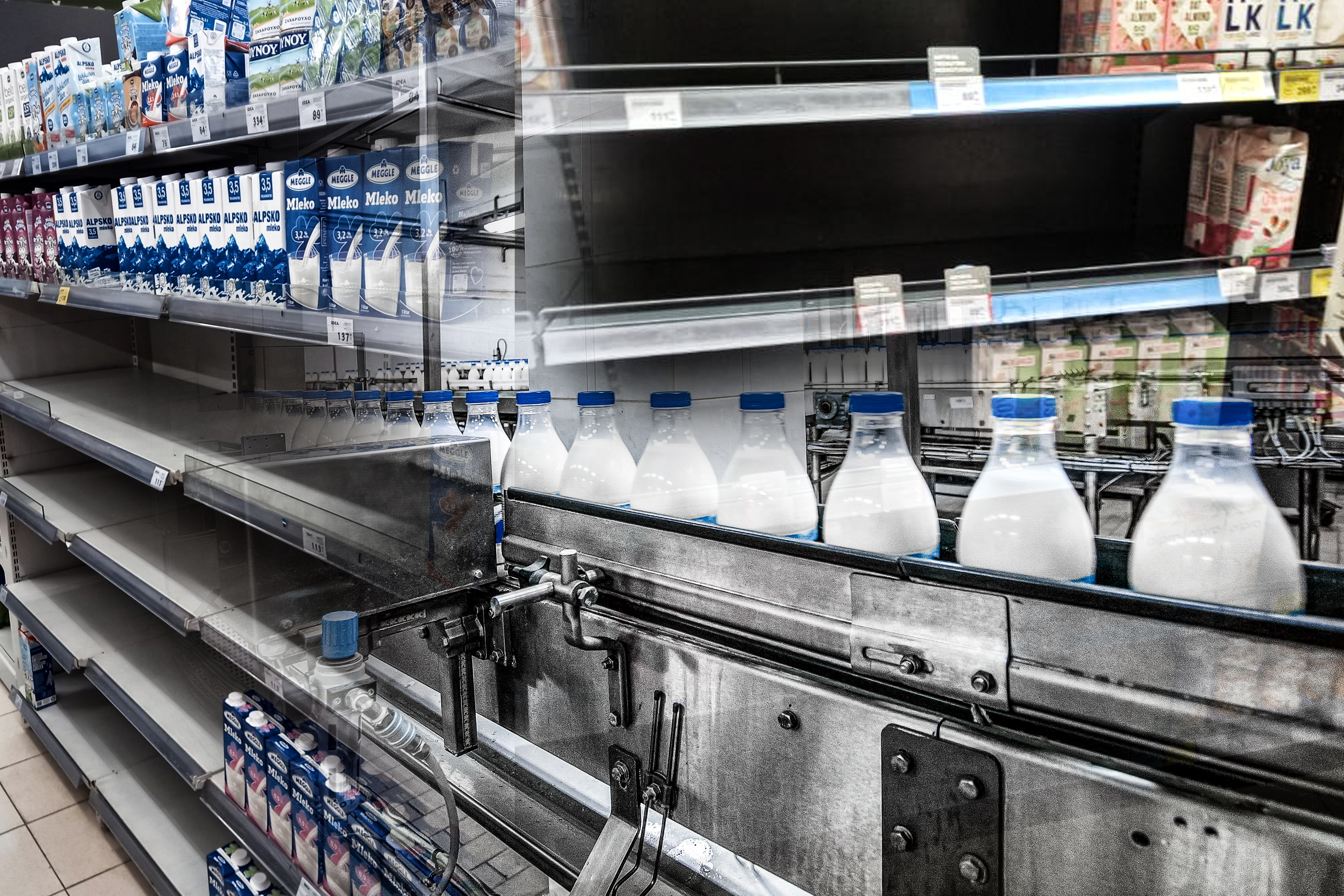 Milk,Production,At,Factory