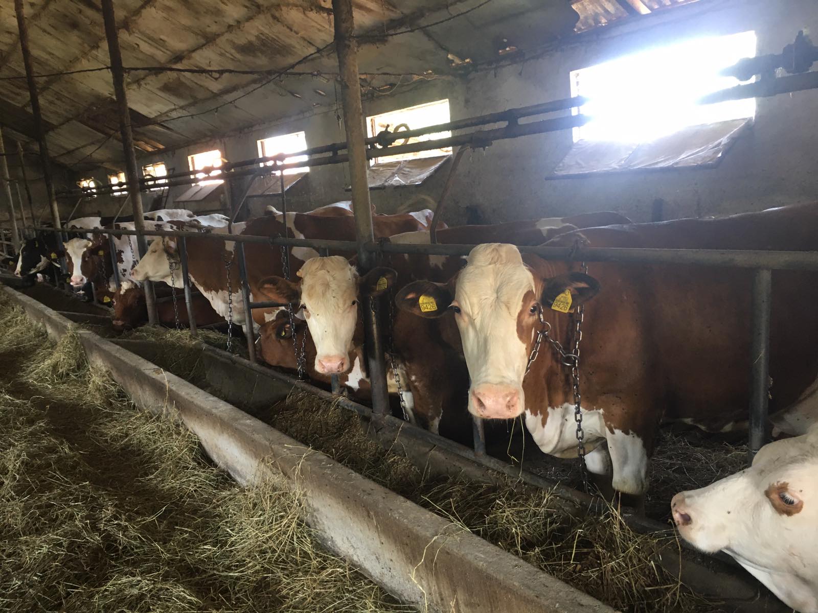 IMG-5ae99d40855db86c9870709f93ed430a-V