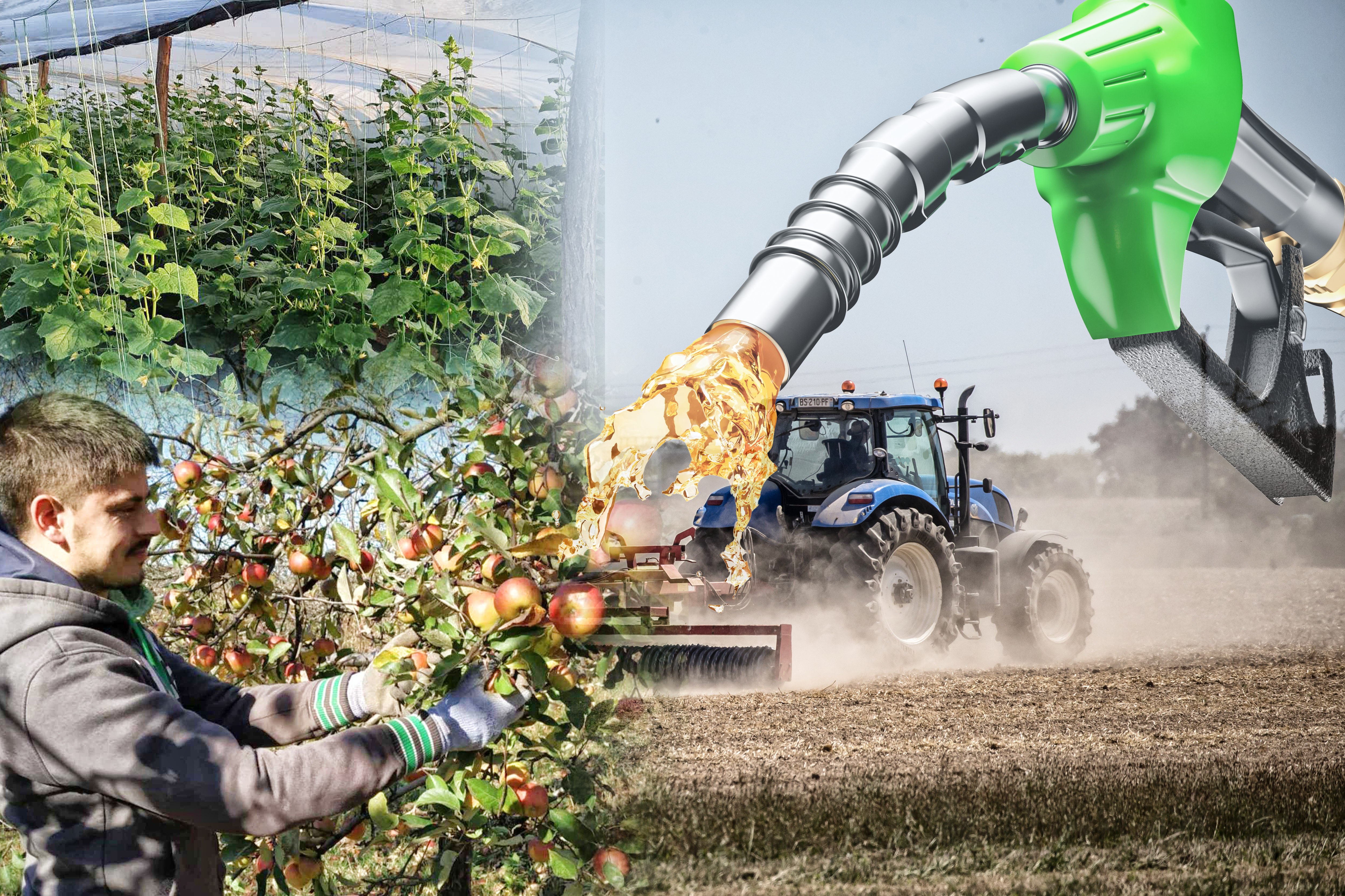 Drought in the Paris region