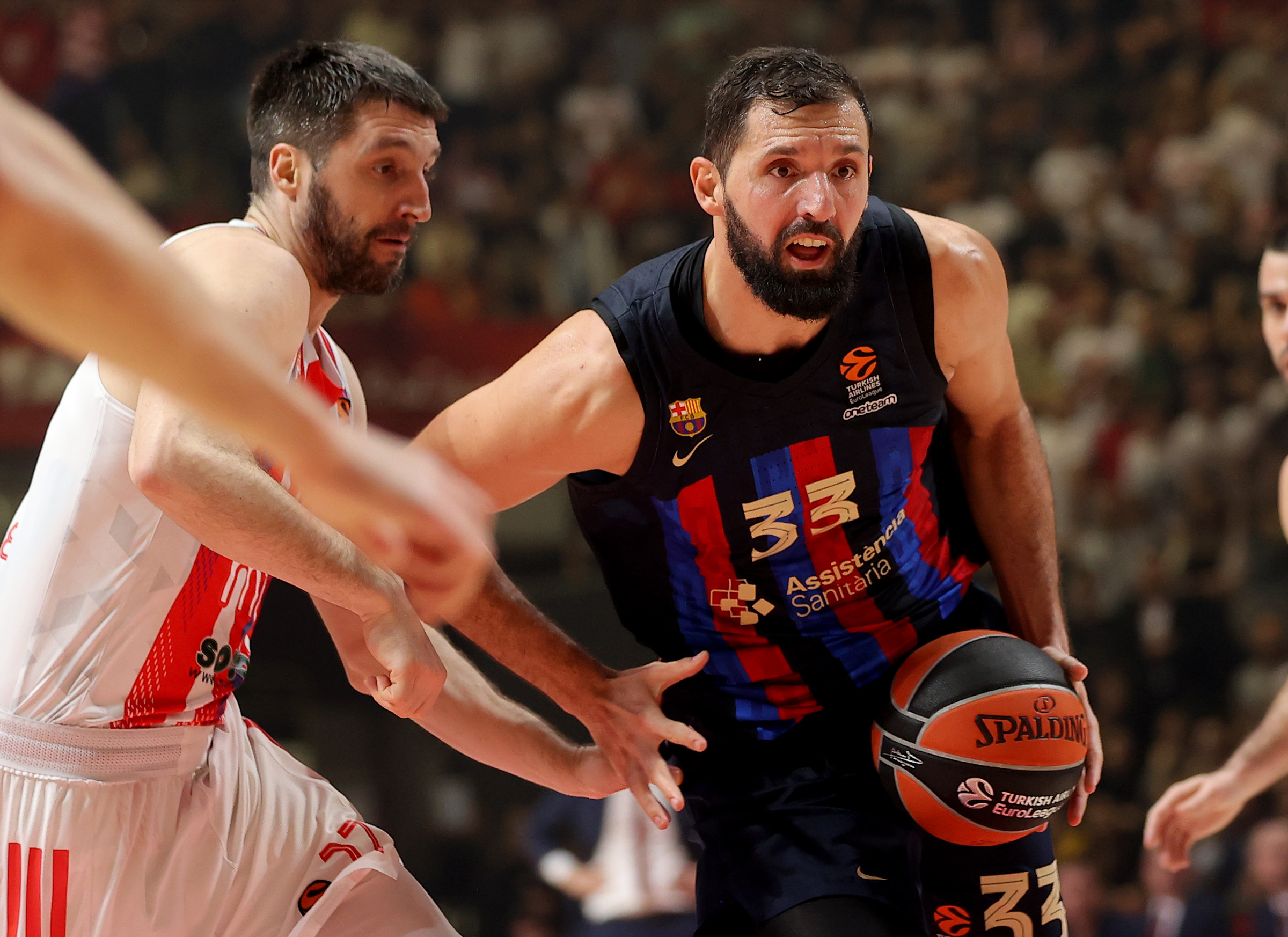 Crvena Zvezda v Barcelona, Euroleague