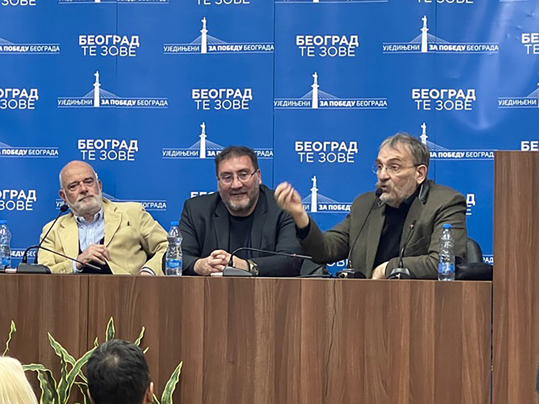 Vladeta Mladenovac_1