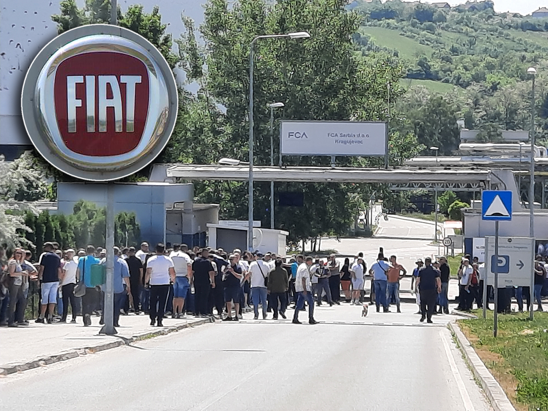 20220513_115355 (1) copy a