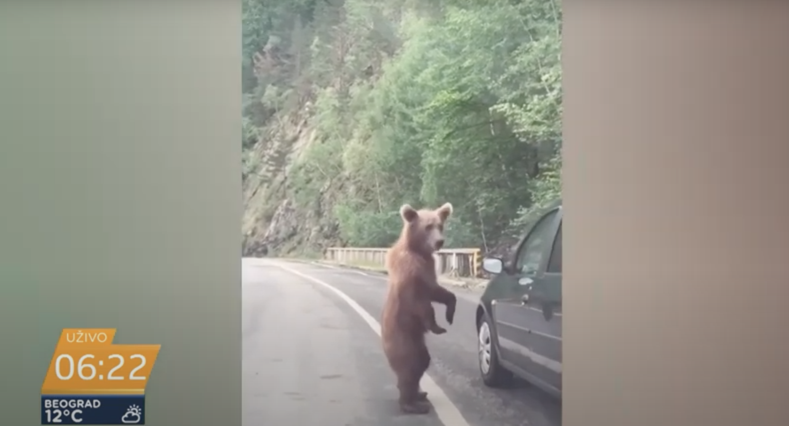 Screen Shot 2022-09-20 at 12.21.43