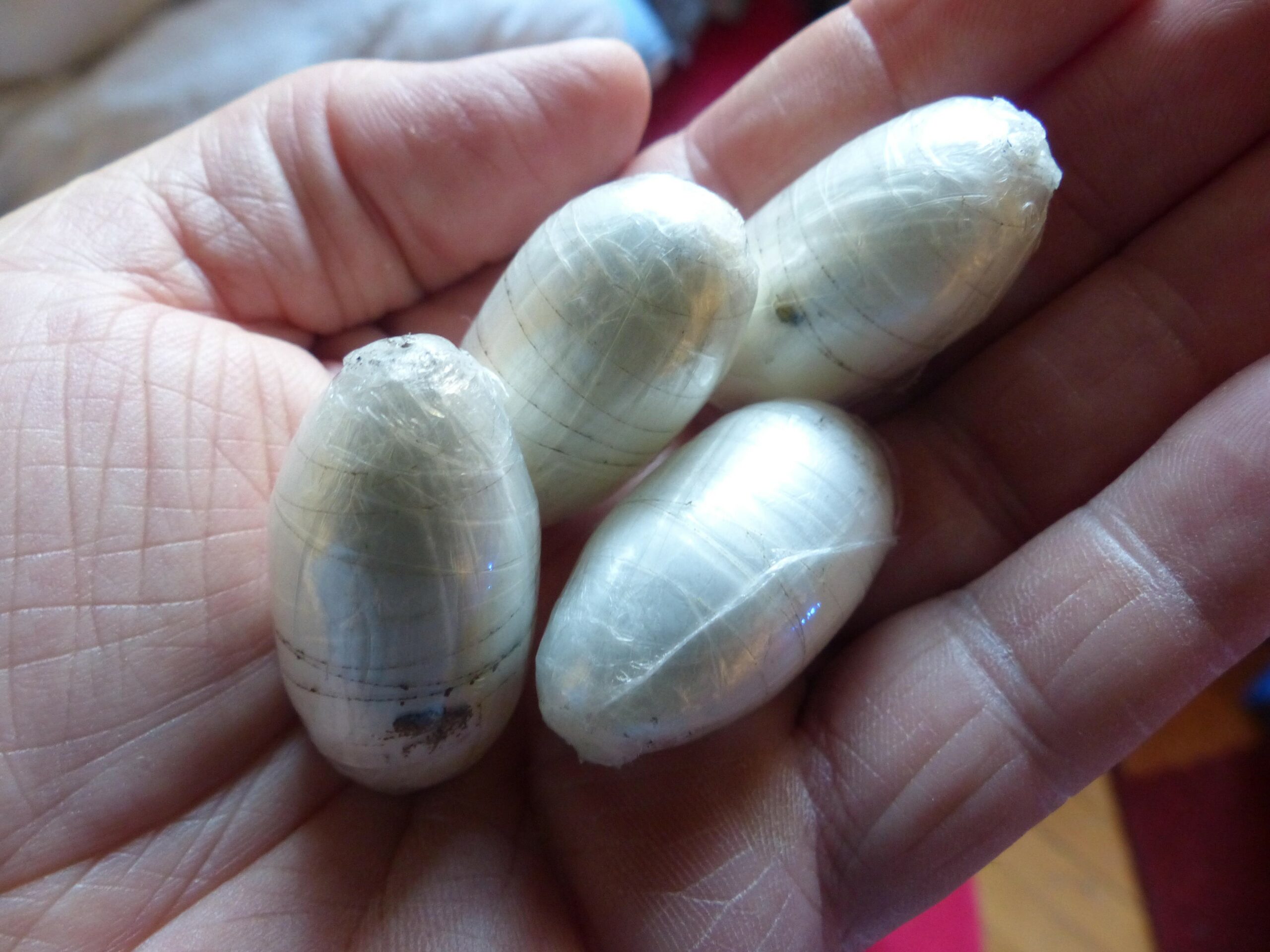 Image: 298564641, License: Royalty-free, Restrictions: , Model Release: no, Credit line: Jan Halaska / Alamy / Alamy / Profimedia