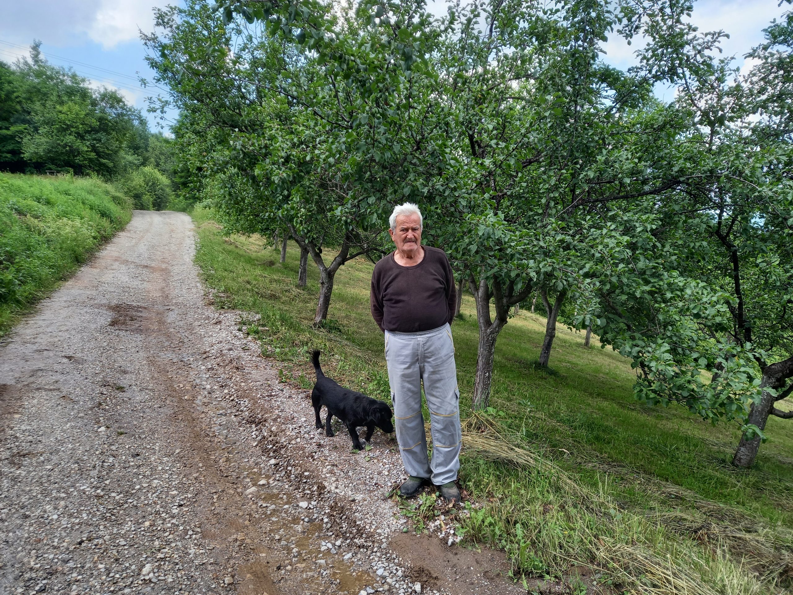 Očajni malinari zbog nepogoda ivanjica pozega arilje čačak