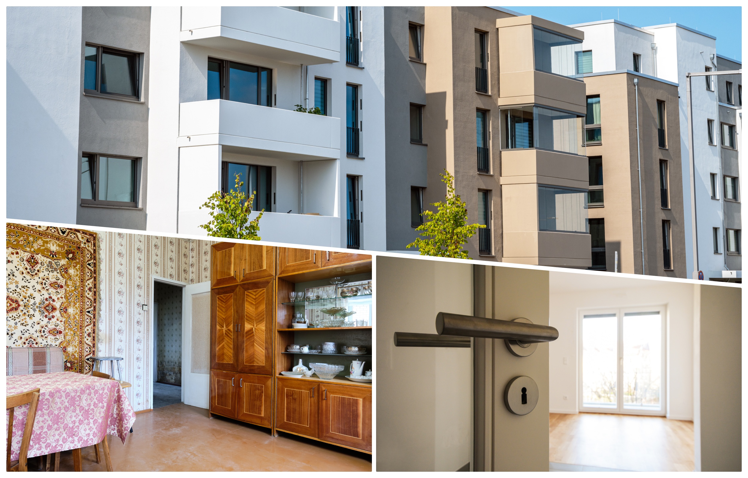 collage stanovi za studente