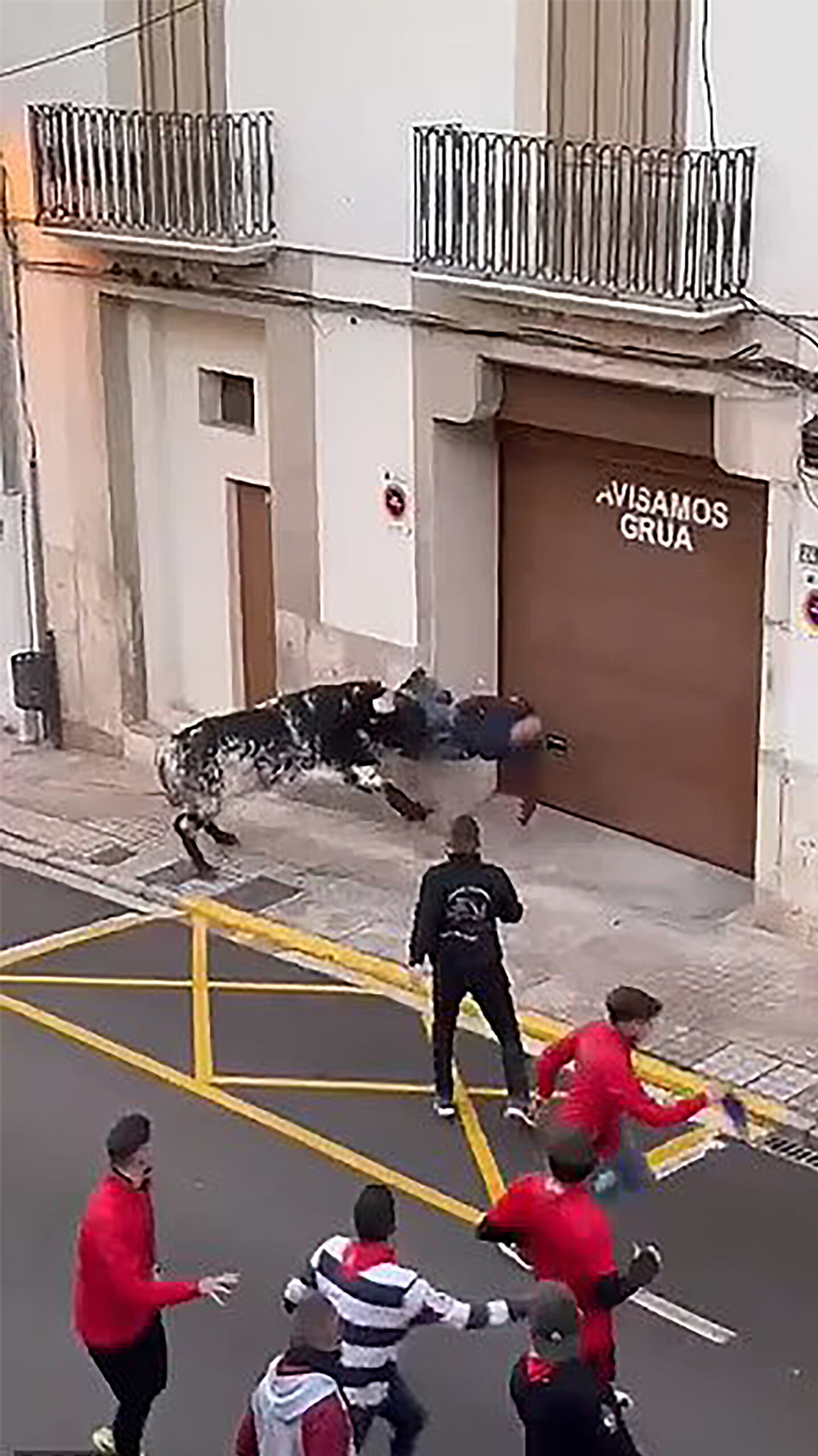 Video shows 82-year-old man being gored and tossed in the air by a raging bull