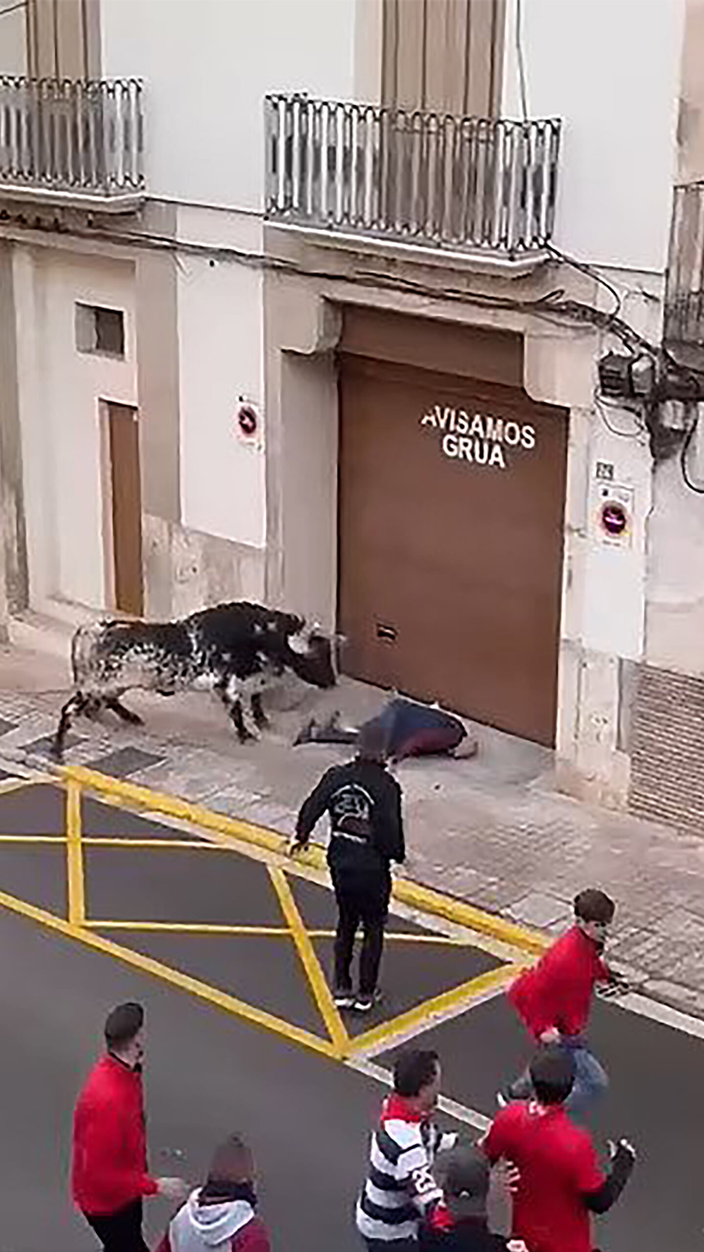 Video shows 82-year-old man being gored and tossed in the air by a raging bull