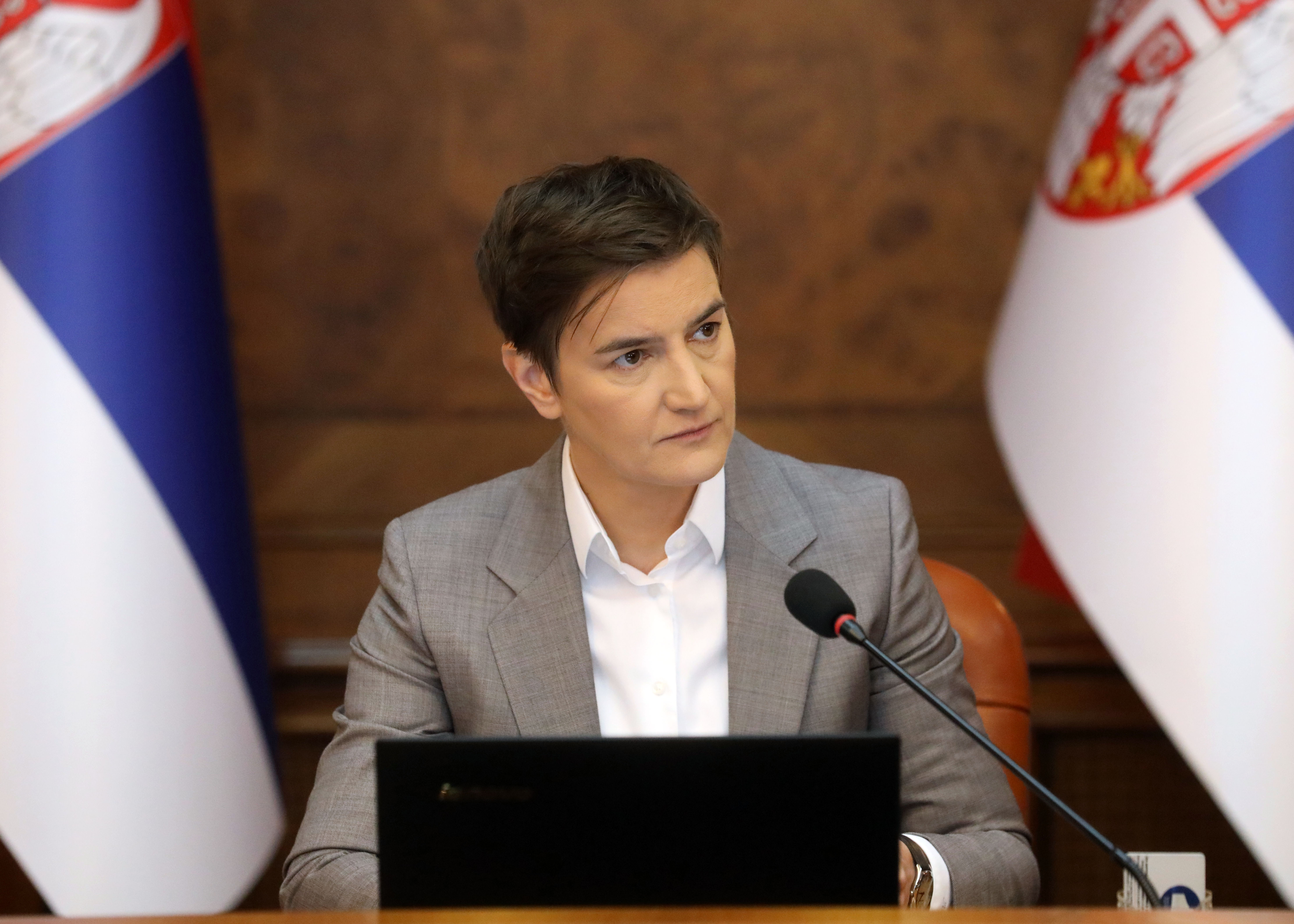 ANA BRNABIC