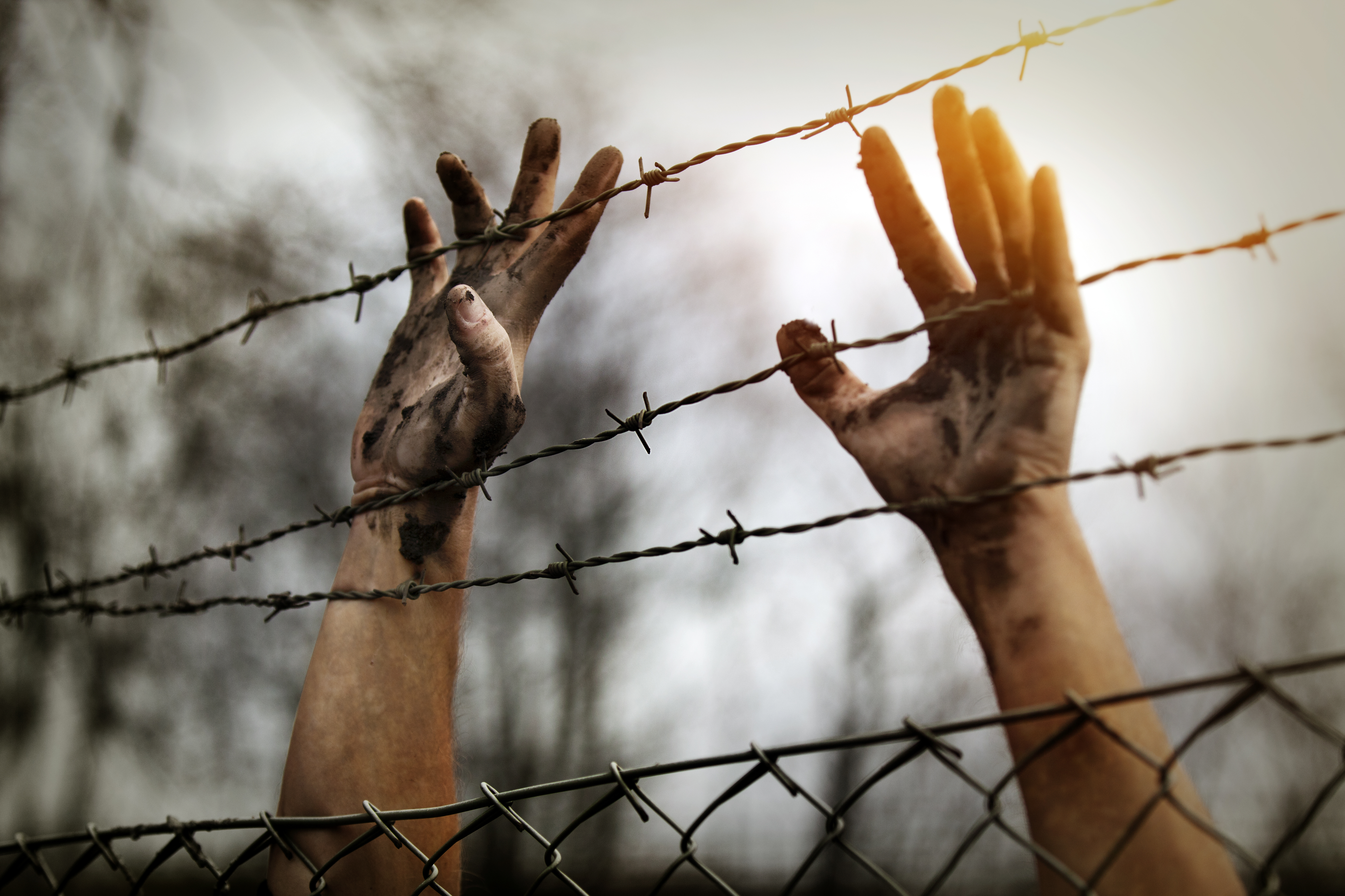 Refugee,Men,And,Fence