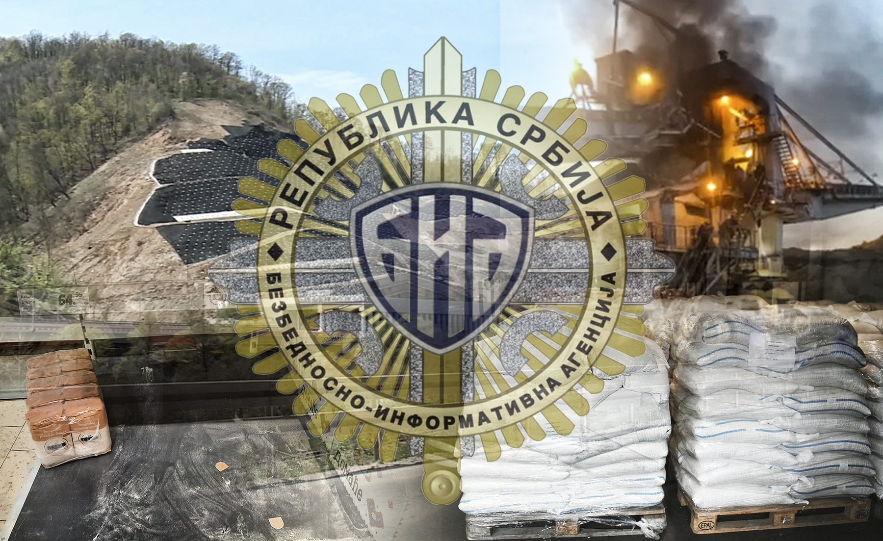 sta bia treba da istraži