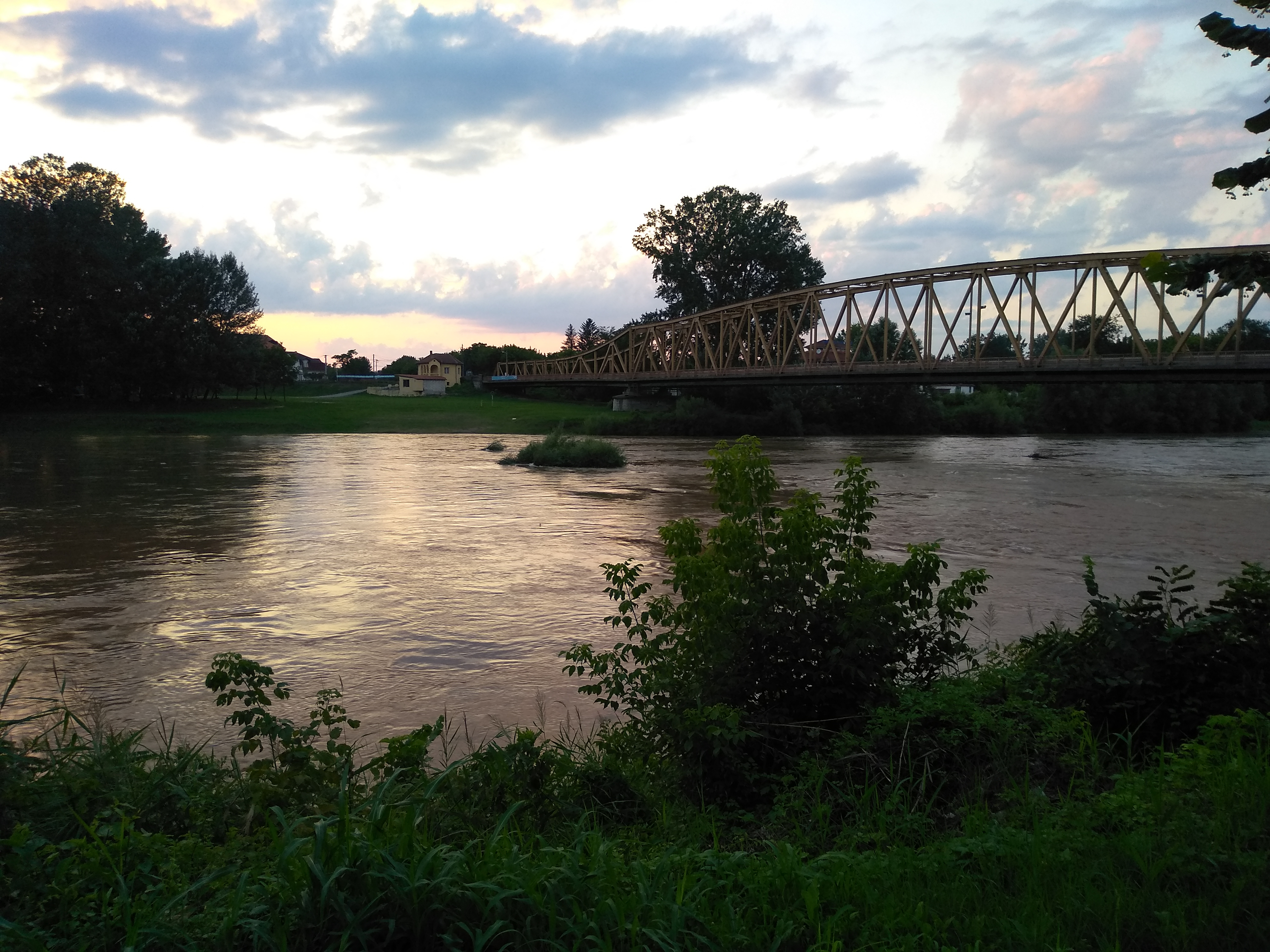 shutterstock_1801842226By exegirl4