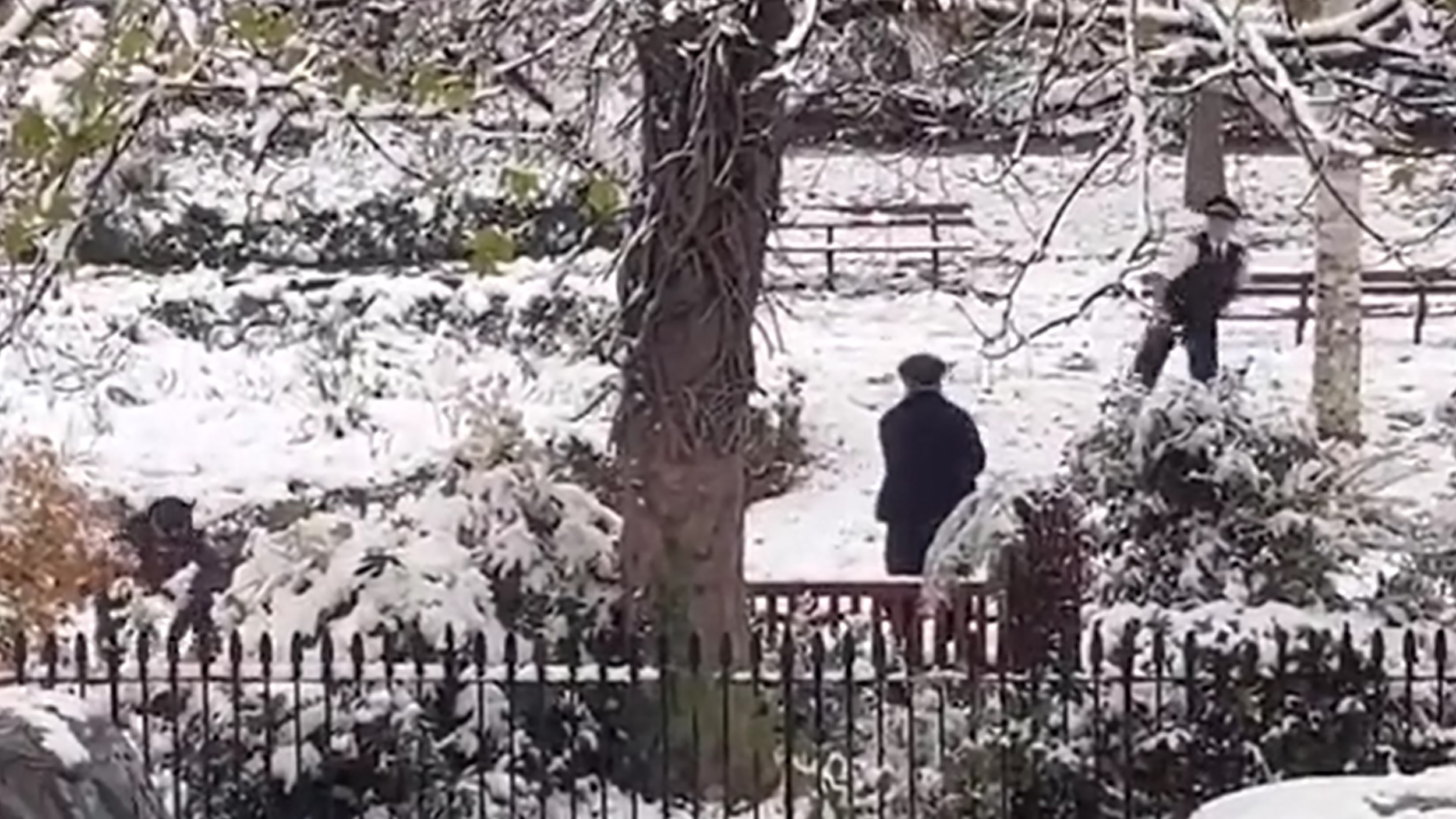 Metropolitan Police officers were spotted throwing snowballs at each other in an east London park on Monday