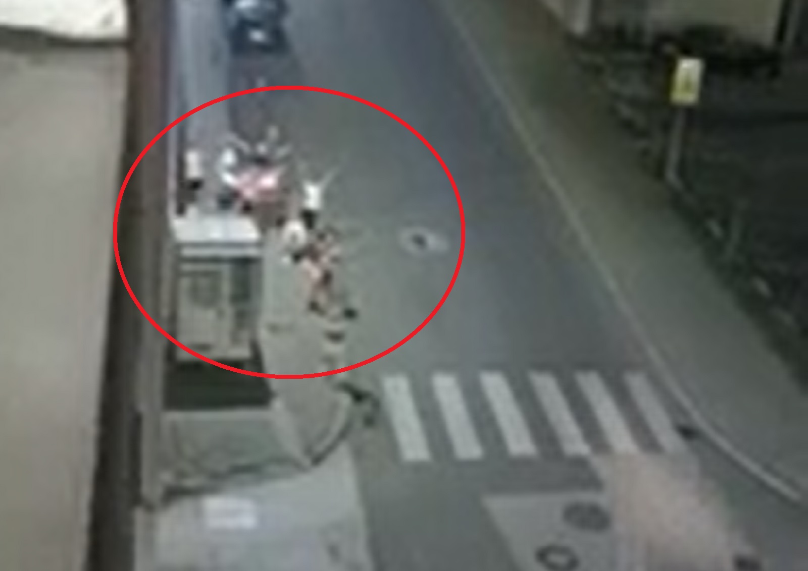 navijaci hrvatska japan