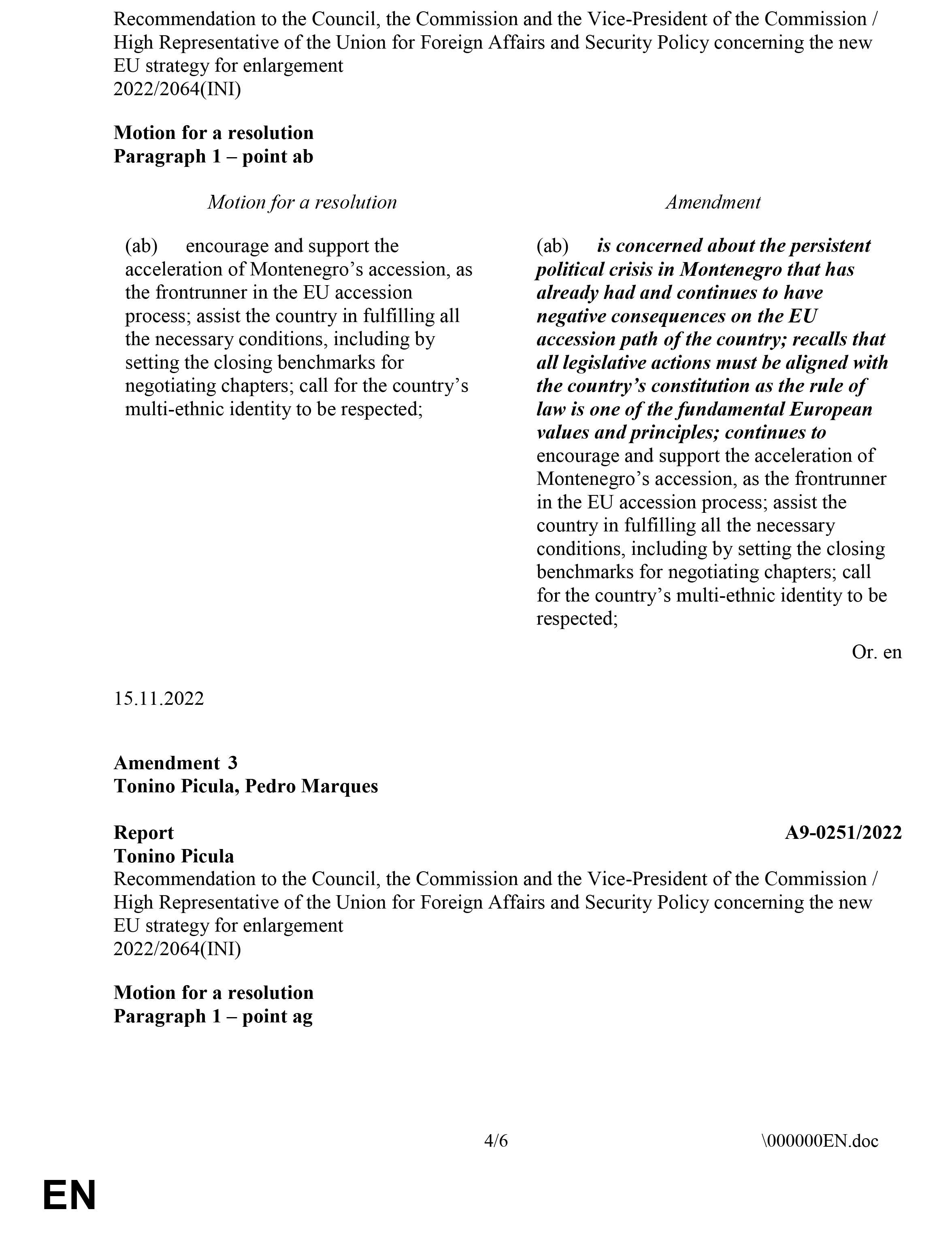 Evropski parlament, Dokument, Amandman