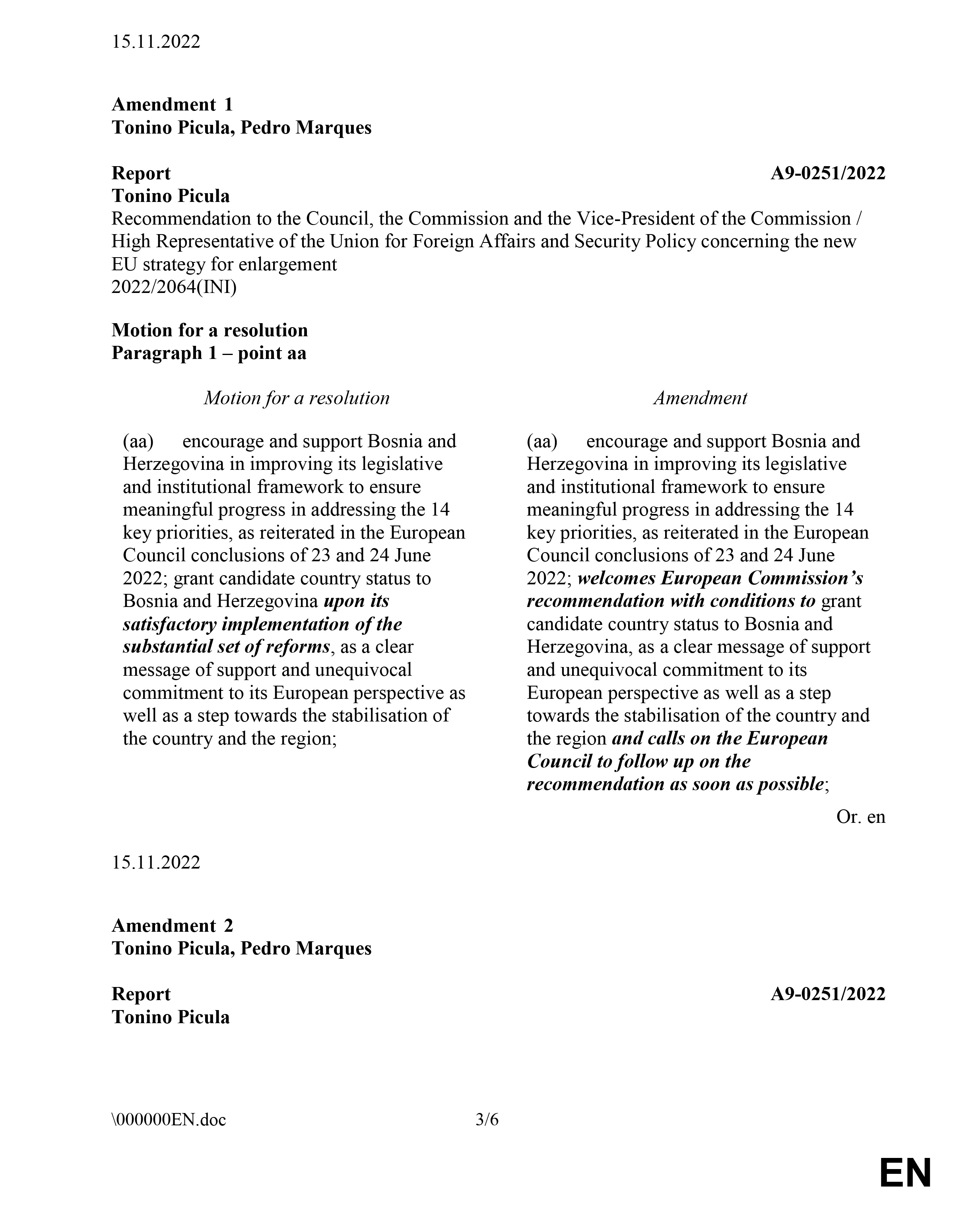 Evropski parlament, Dokument, Amandman