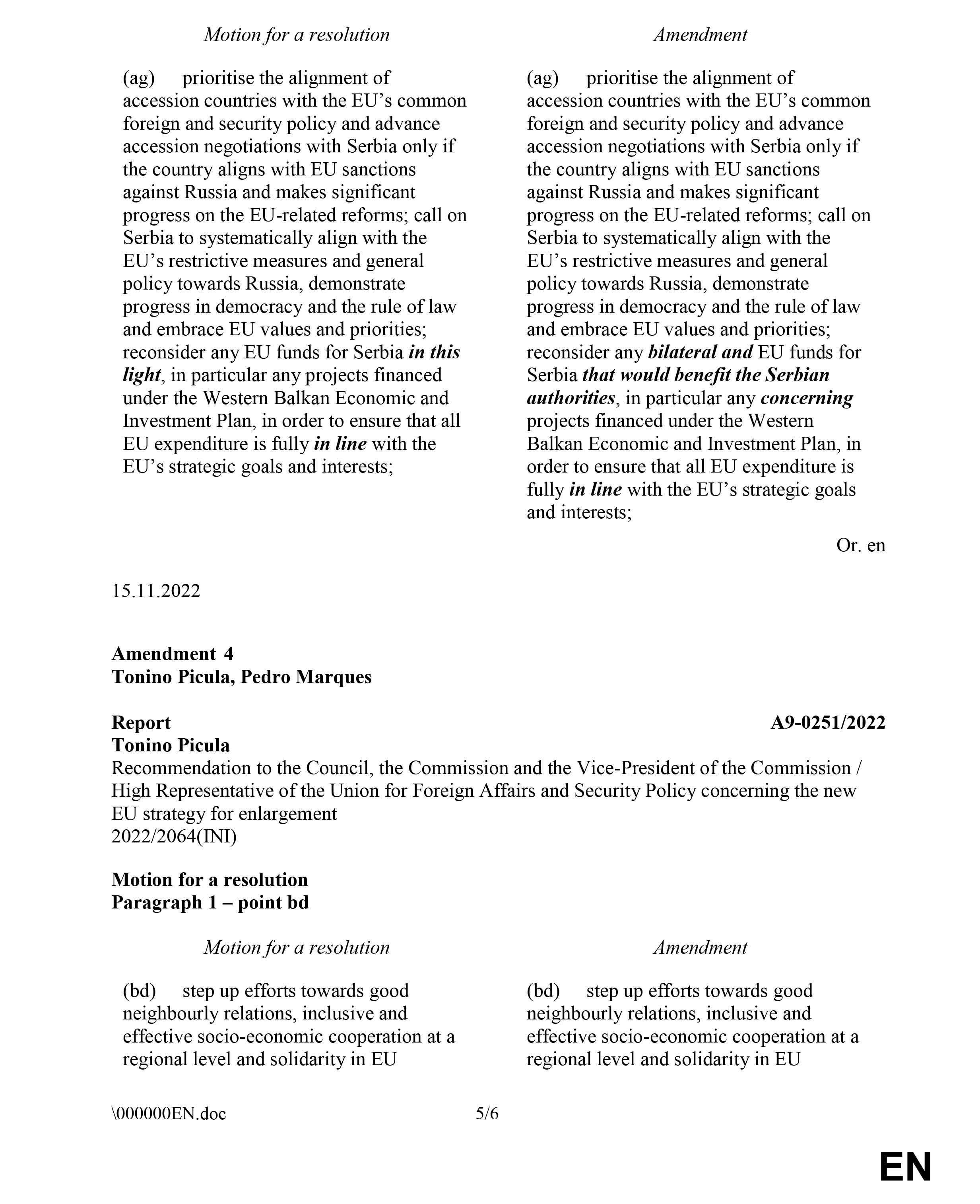 Evropski parlament, Dokument, Amandman