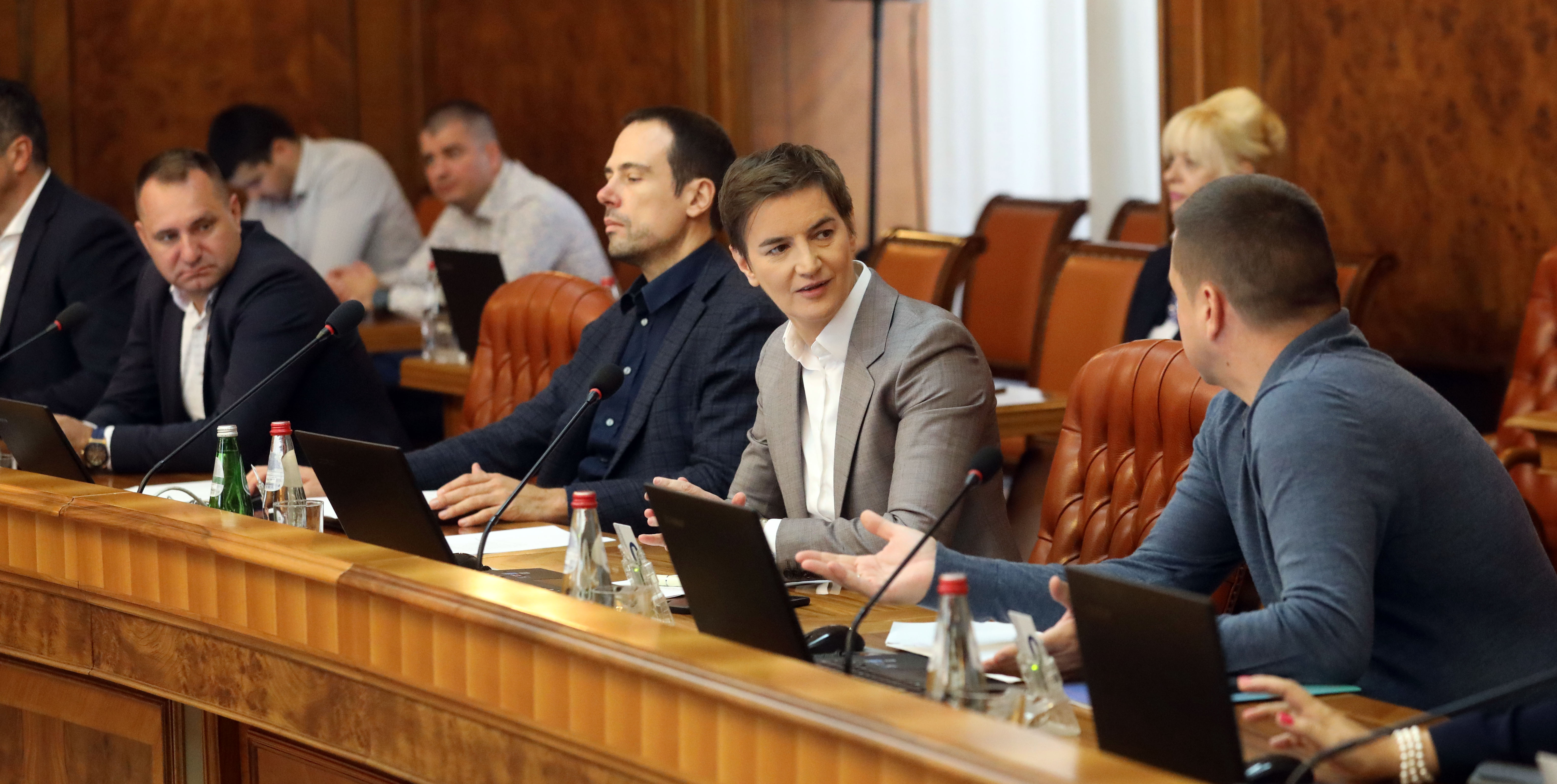 NOVAK NEDIC, ANA BRNABIC, BRANKO RUZIC