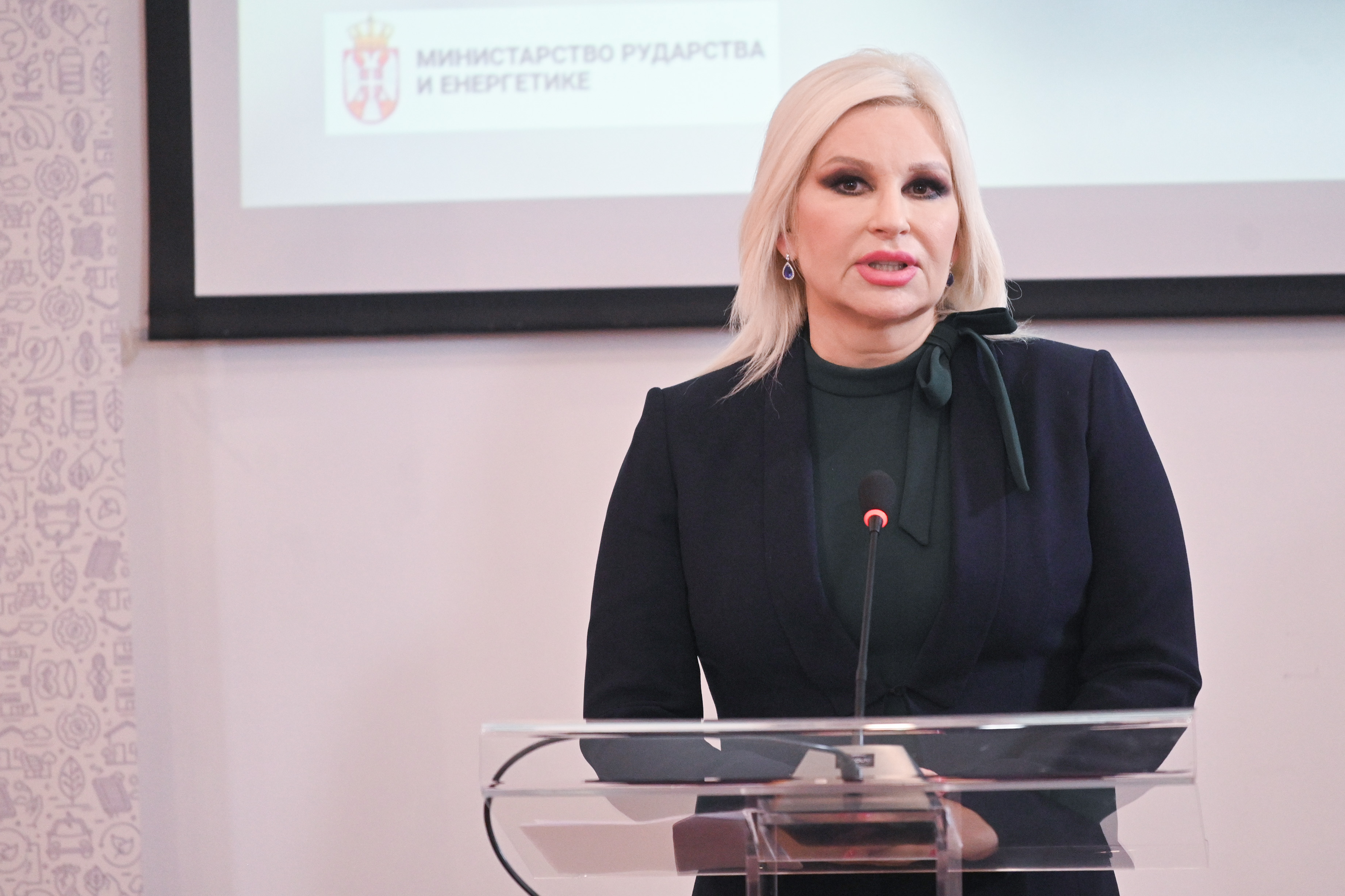 Zorana Mihajlović, Enegrija Balkana Foto: MRE