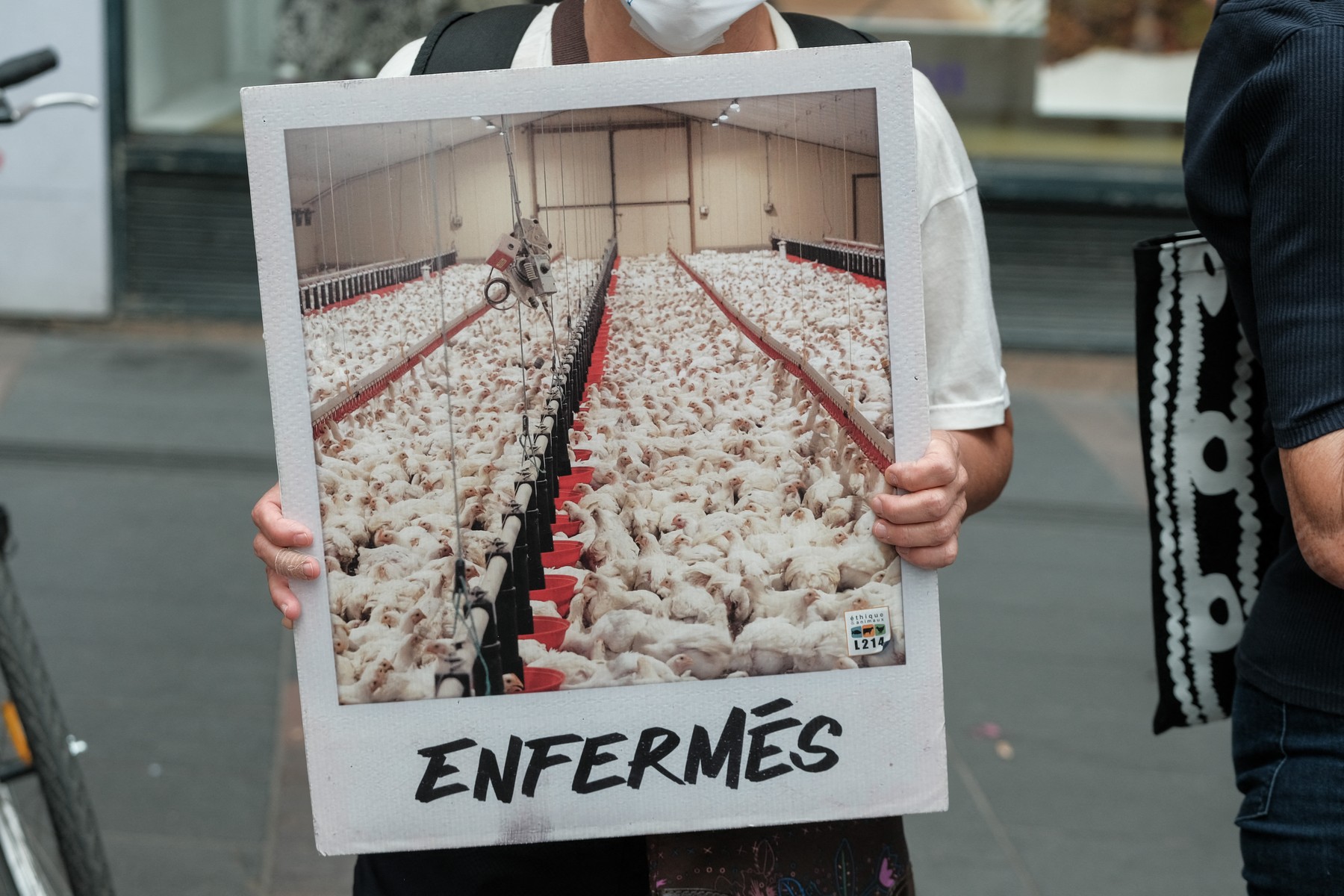 L214 campaign to inform the public on the industrial poultry farms - Toulouse
