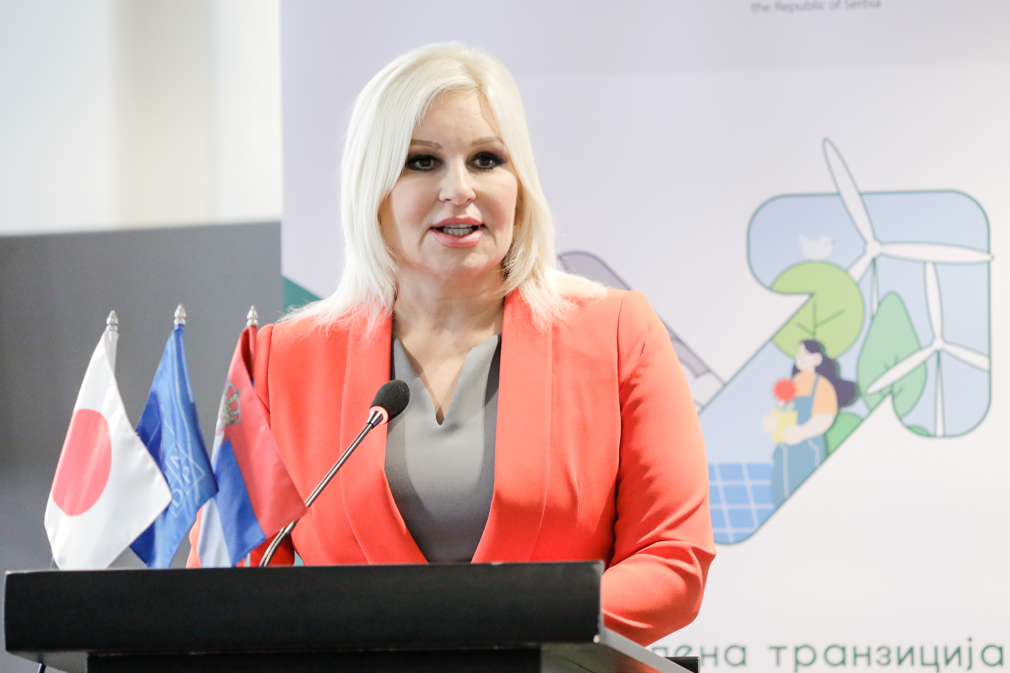 Zorana Mihajlović, energetska bezbednost Foto: MRE