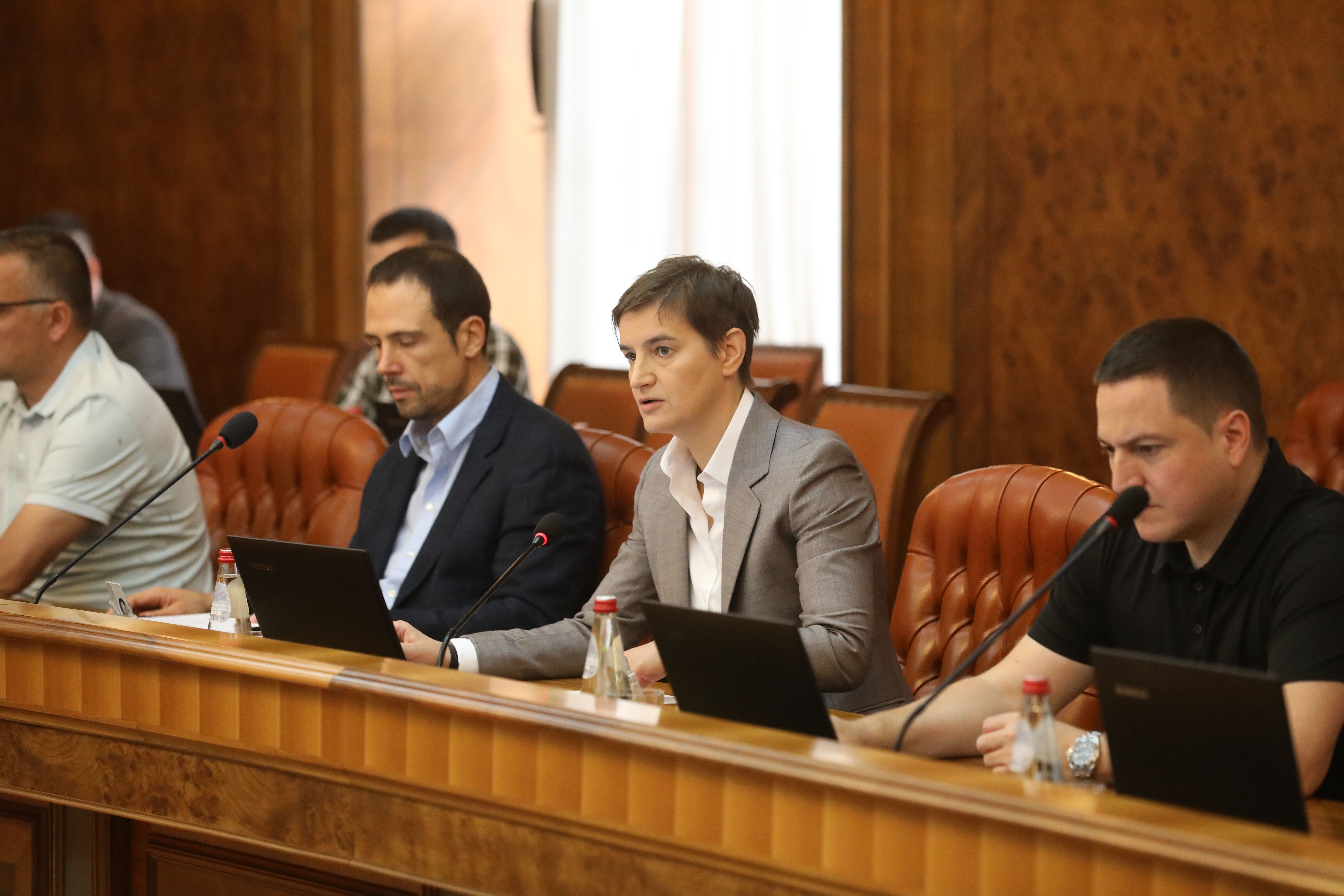 NOVAK NEDIC, ANA BRNABIC, BRANKO RUZIC