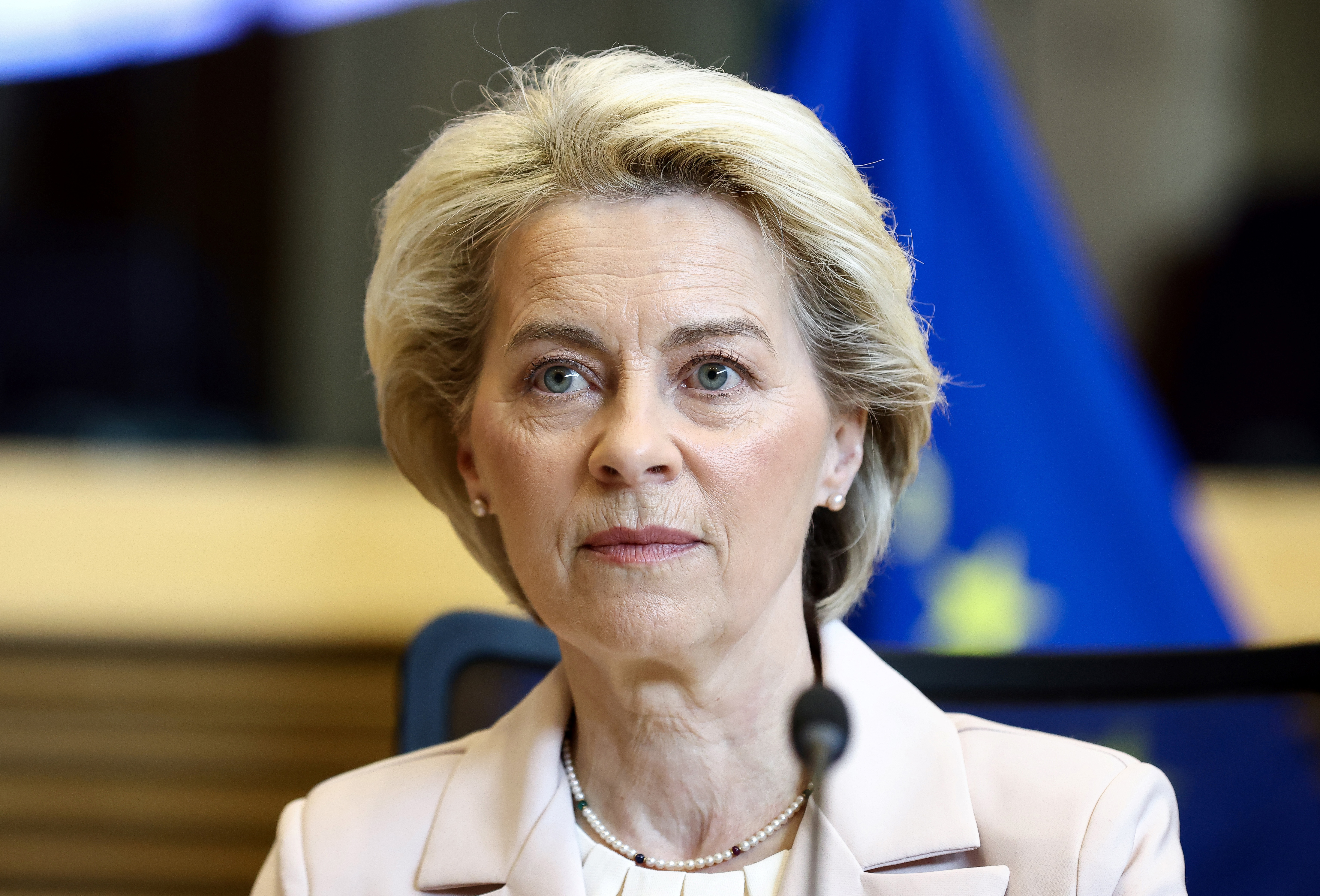 Russia Ukraine War EU Gas