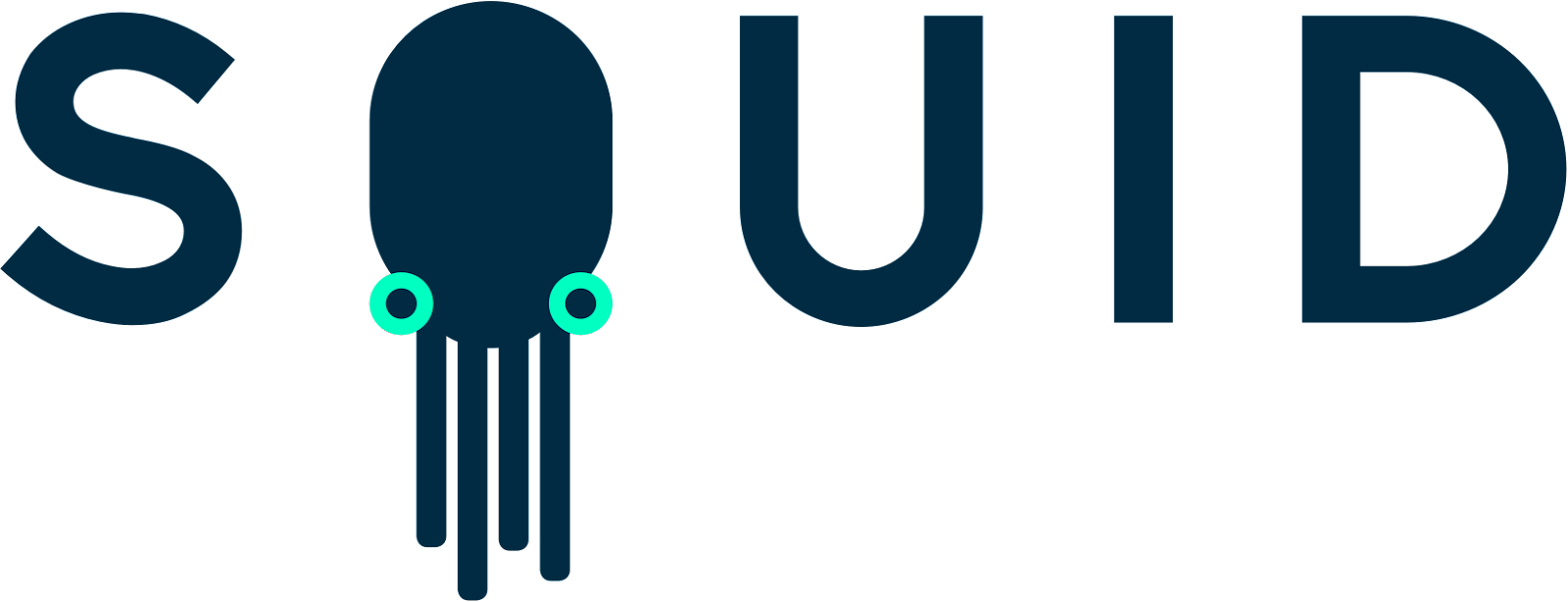 Squid-logotype-bright-bg