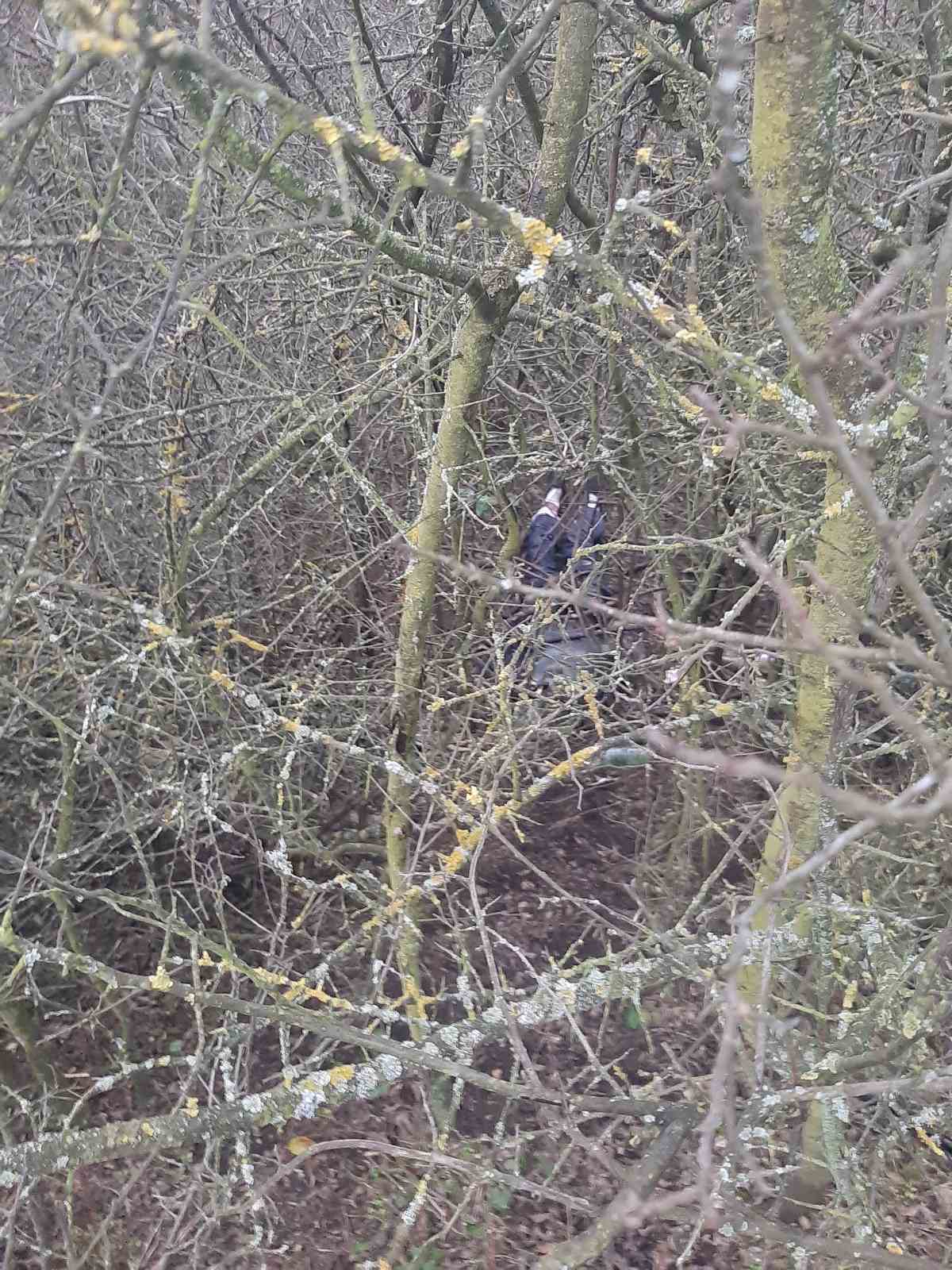 Na slikama Mimica koja je našla leš, mesto gde se to dešava i leš u žbunju