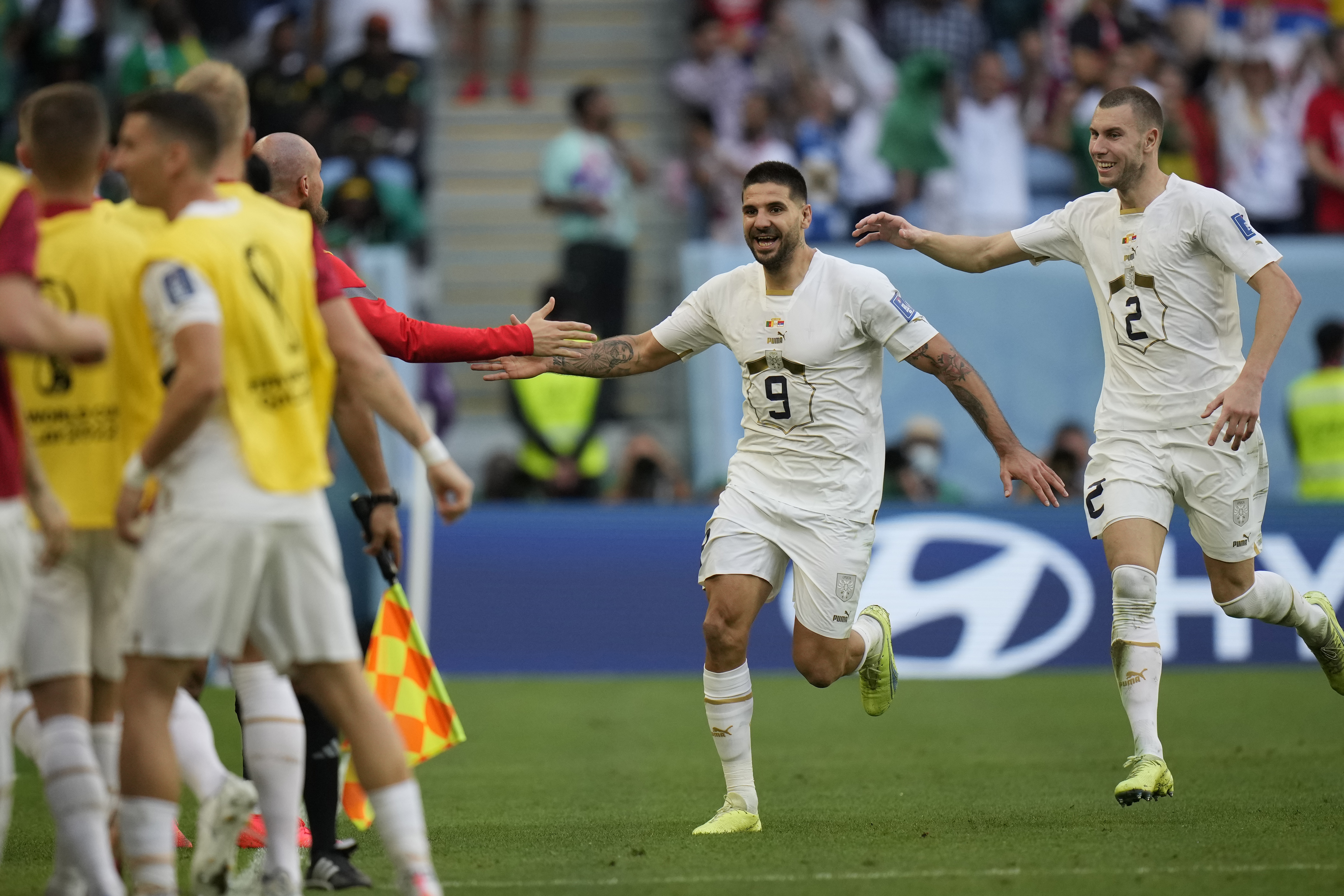 WCup Cameroon Serbia Soccer