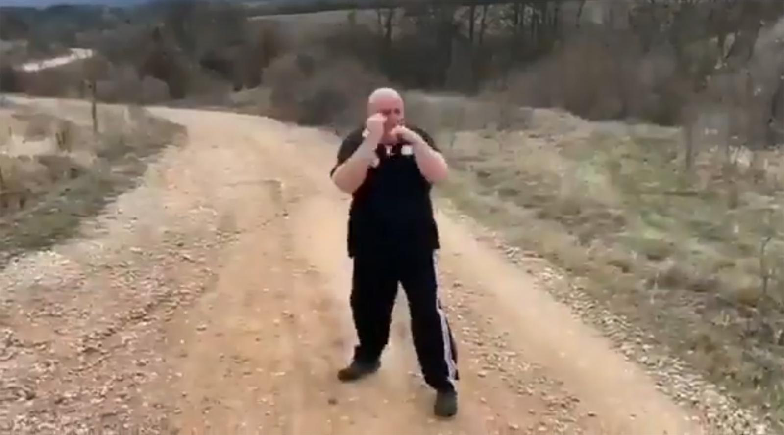 Dragan Marković Palma