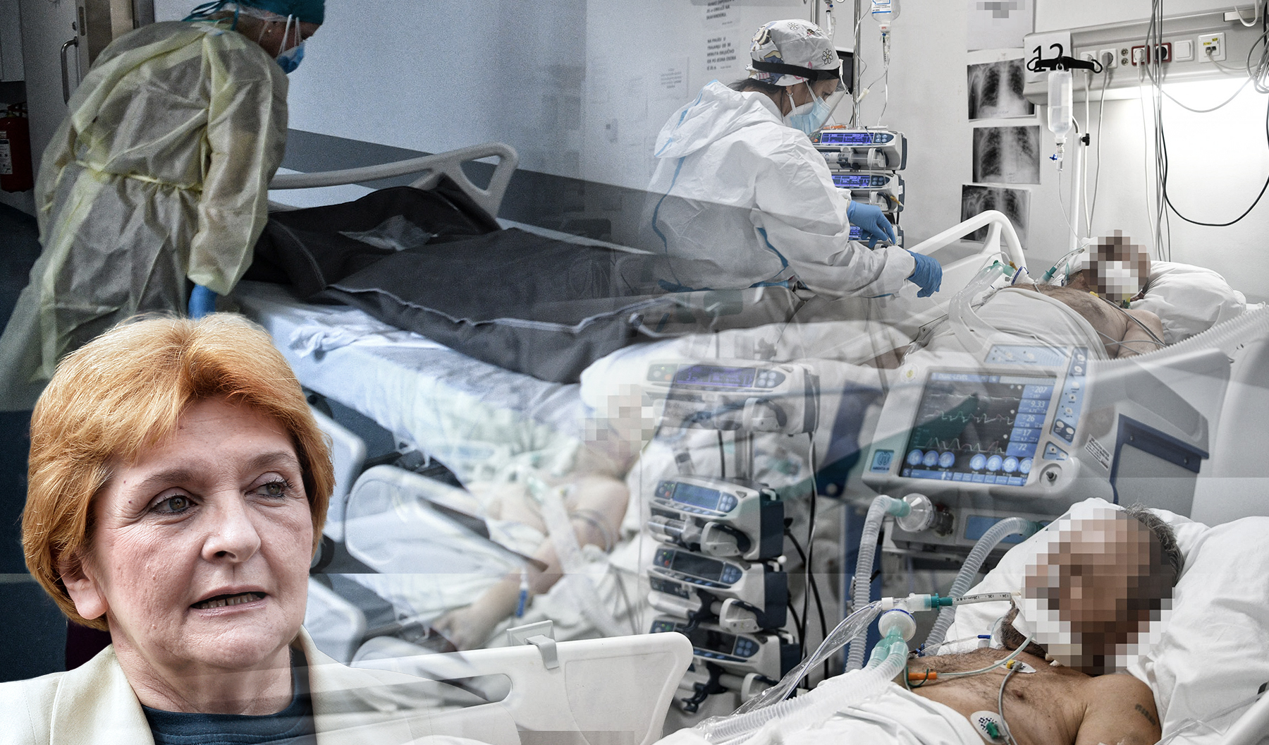 batajnica danica umiranje kovid