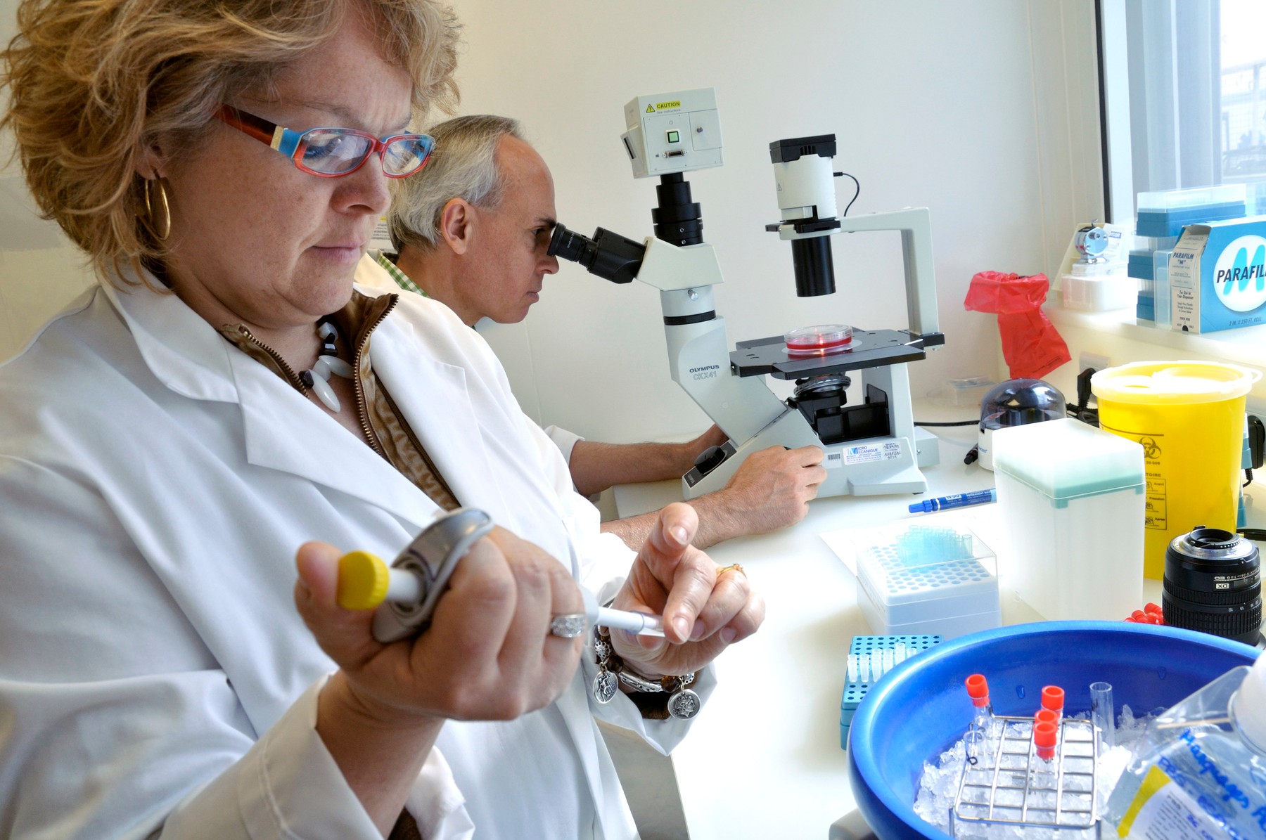 Blood type modification, France