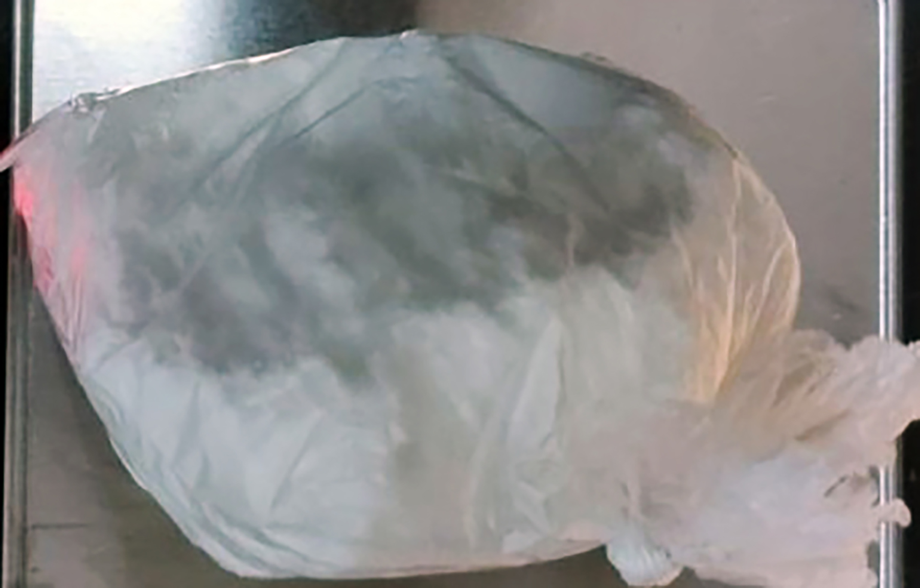 Pu Kraljevo saopštenje