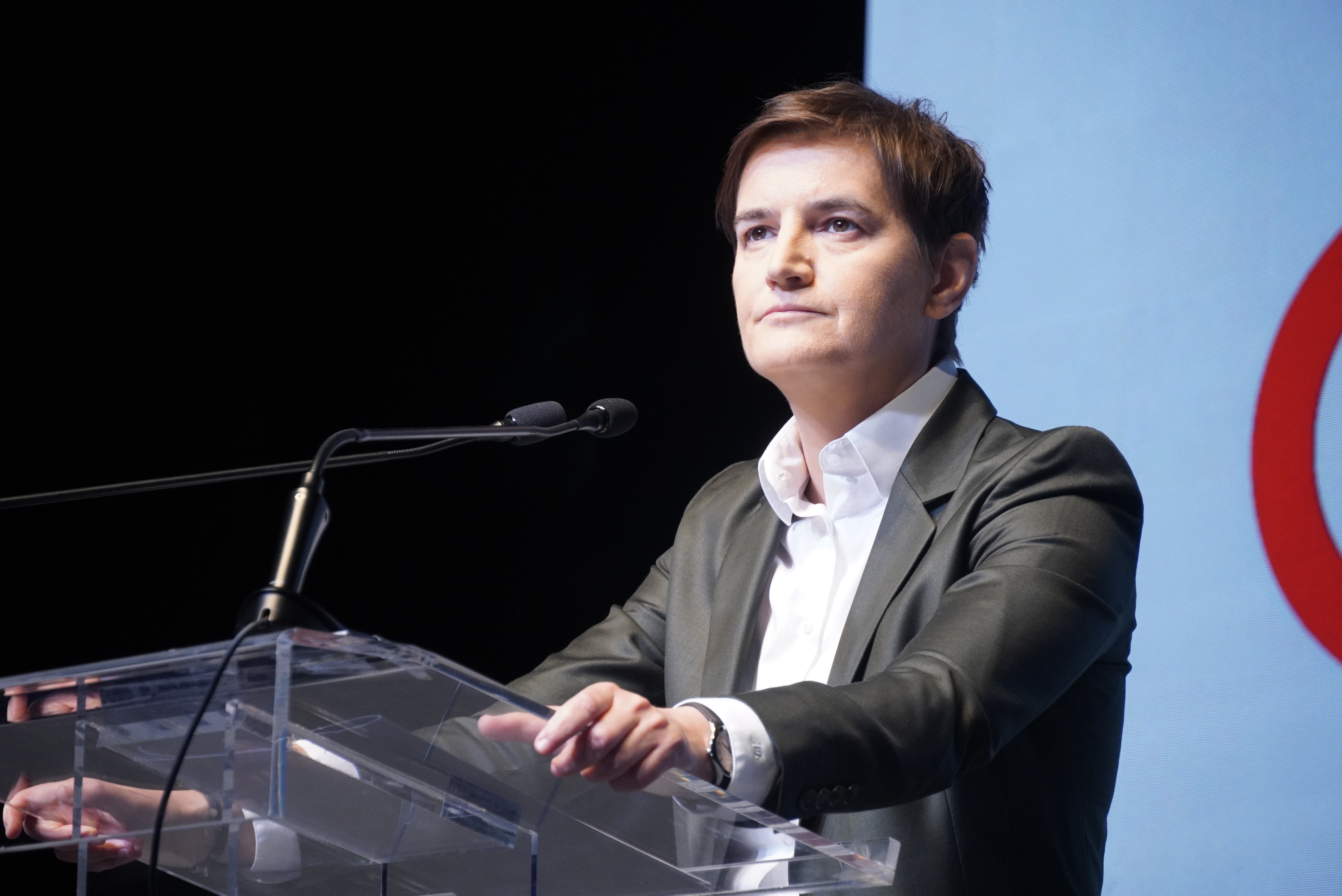 ANA BRNABIC
