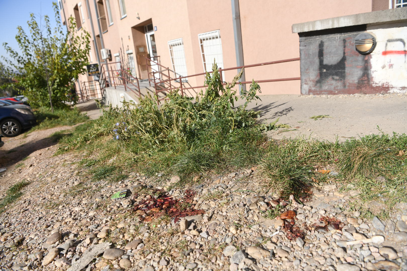 Beograd, 01.11.2022. Zvezdara, Ulica Miljana Miljanića, Pucnjava, ranjen mladić Foto: Vesna Lalić/Nova.rs
