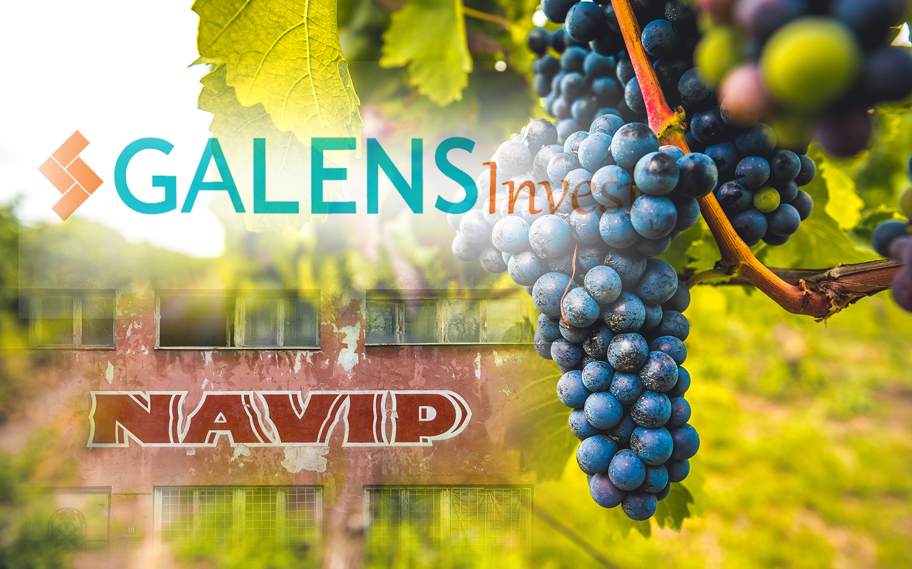 galens navip galens kupio navip