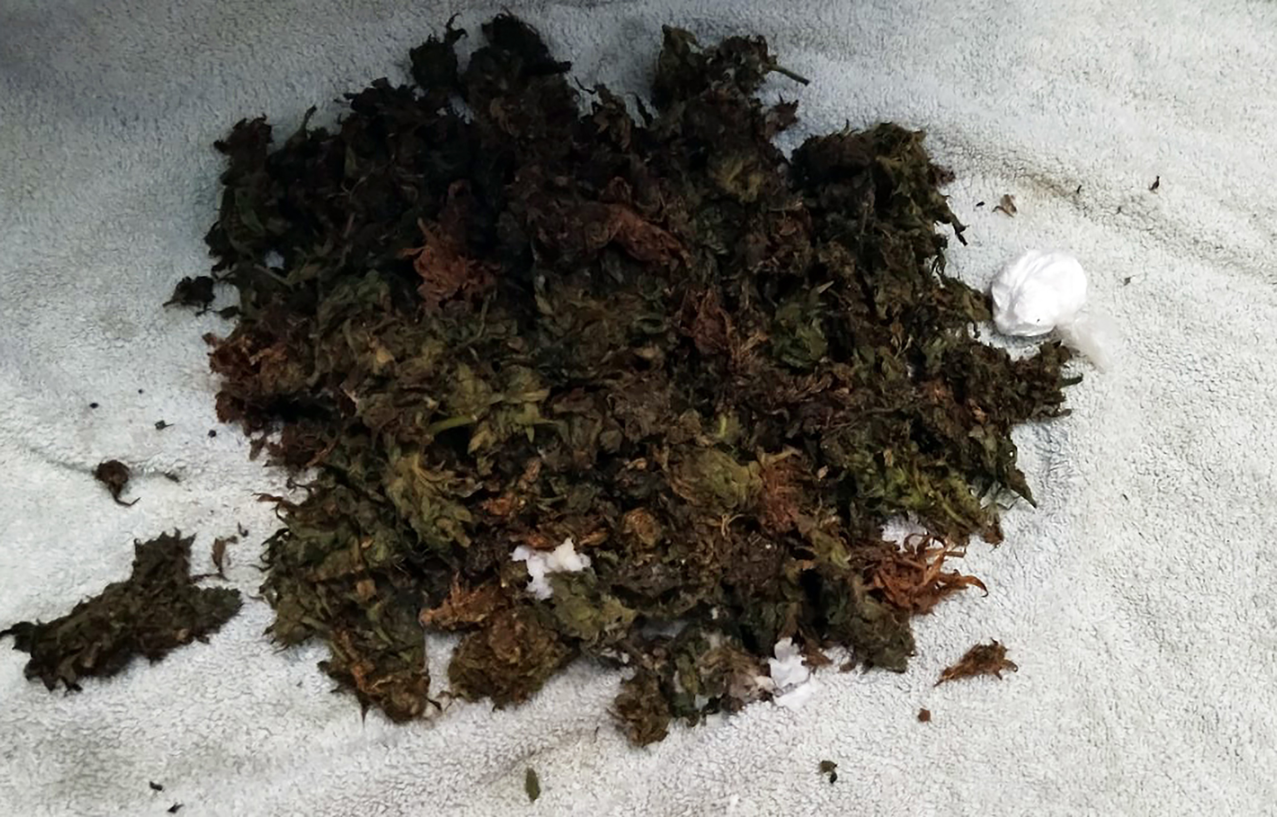 zaplenjeni kokain i marihuana