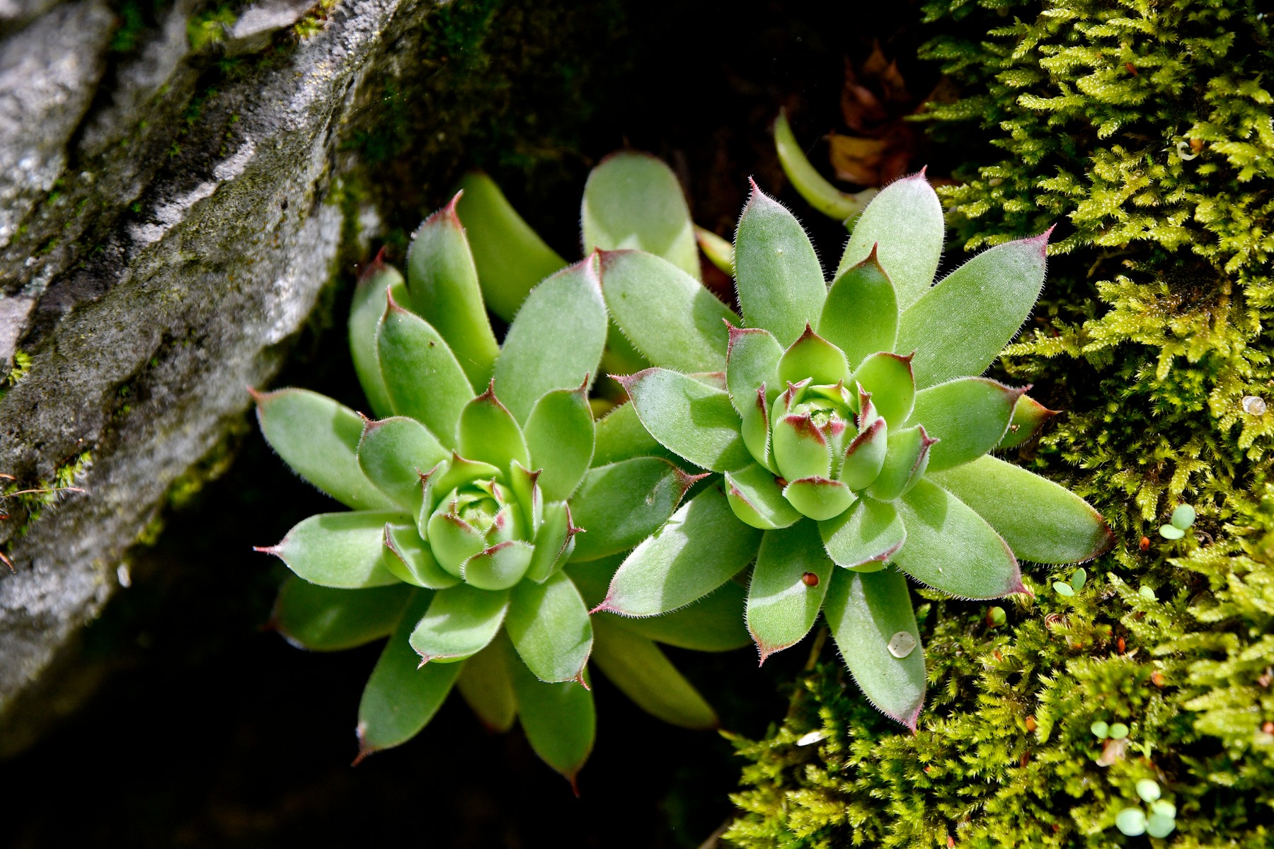 profimedia-0658835826